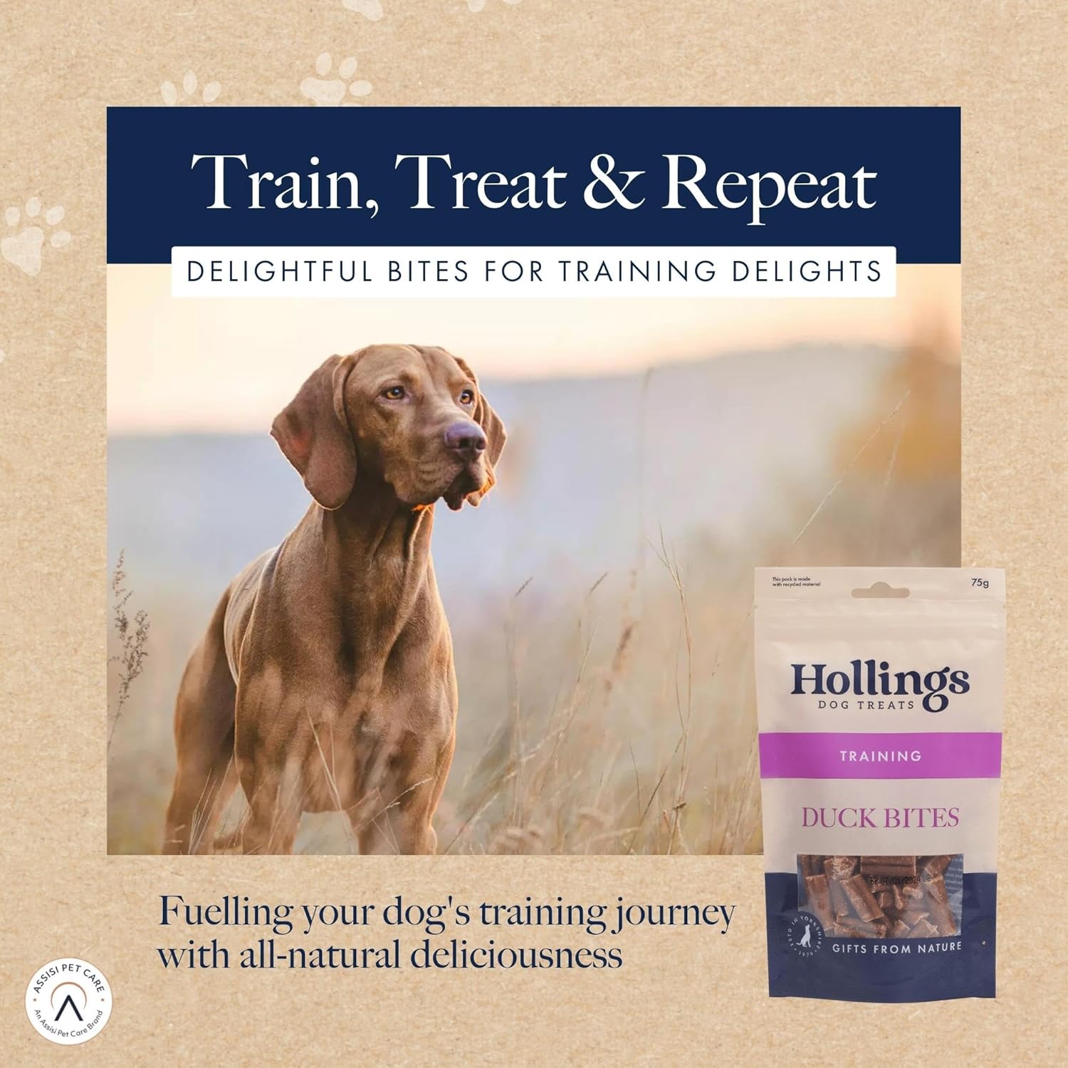 Hollings Training Duck Bites - 75g