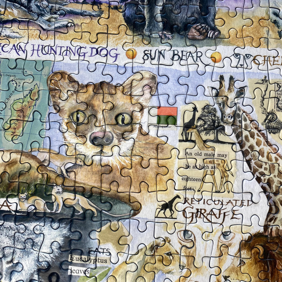 Gibsons 'Sun Bears and Sloths' Endangered Animals 1000 Piece Puzzle