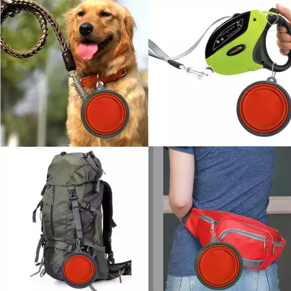 Collapsible Travel Pet Bowl