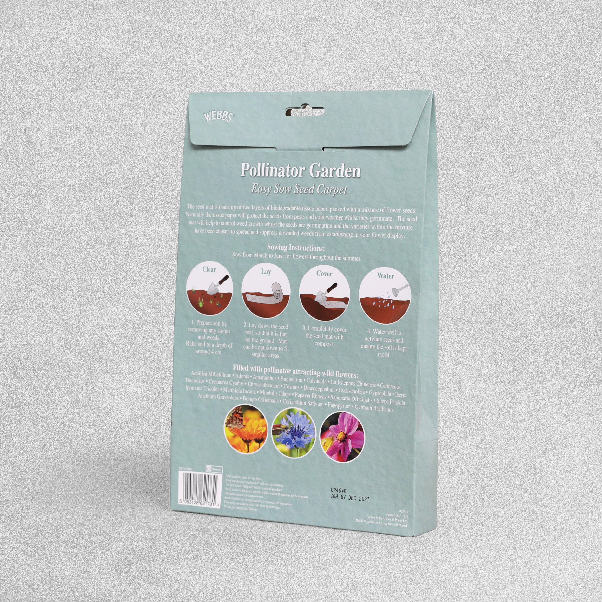 Webbs Easy Sow Seed Carpet