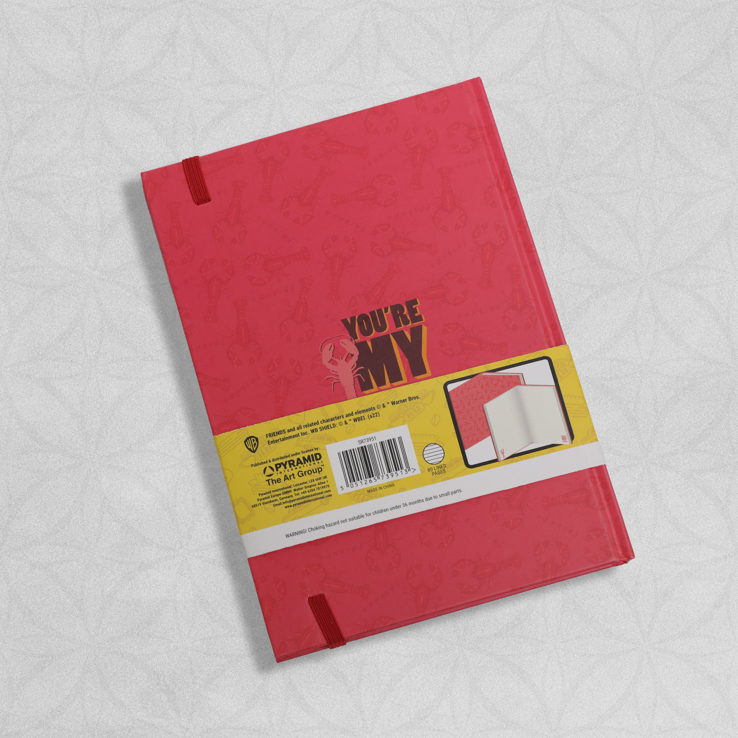 'You're My Lobster' Friends A5 Premium Notebook