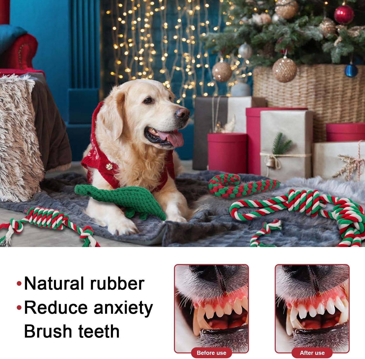 Dog Rope Toy Packs - 5pcs - Various Colours Available