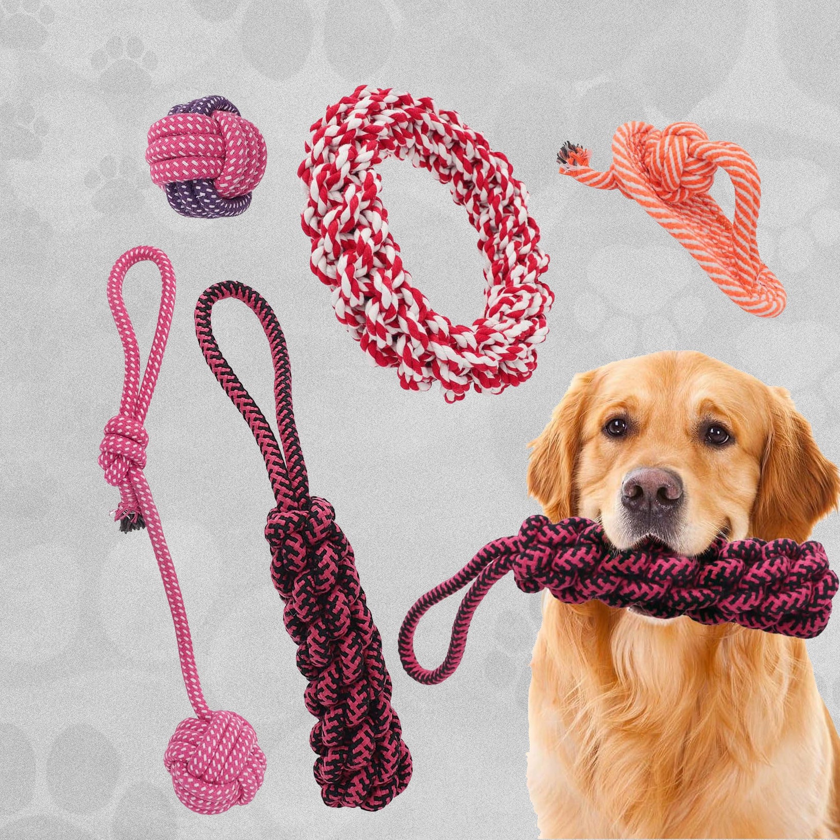 Dog Rope Toy Packs - 5pcs - Various Colours Available