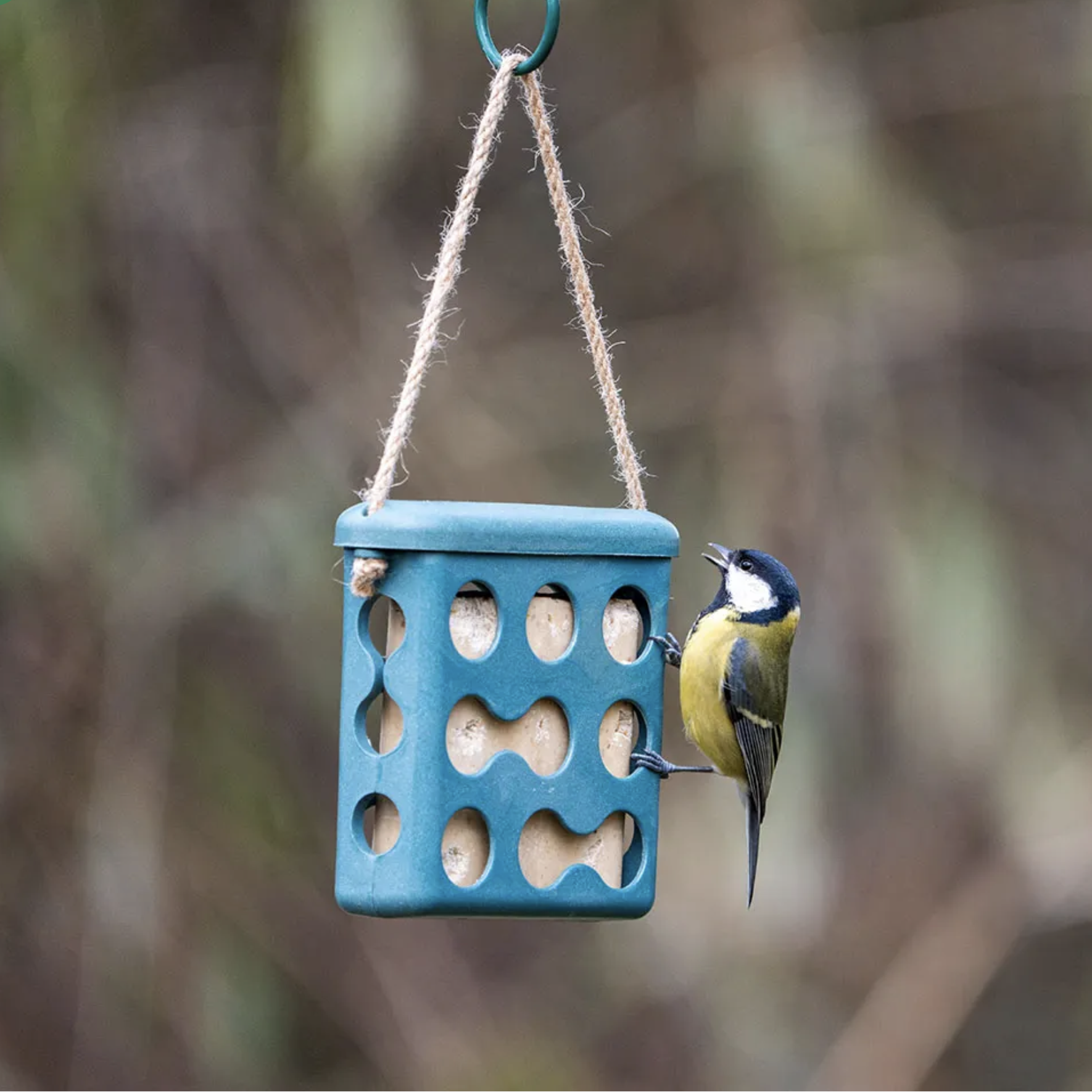 CJ Wildlife Fat Block Holder Rome - Various Colours Available