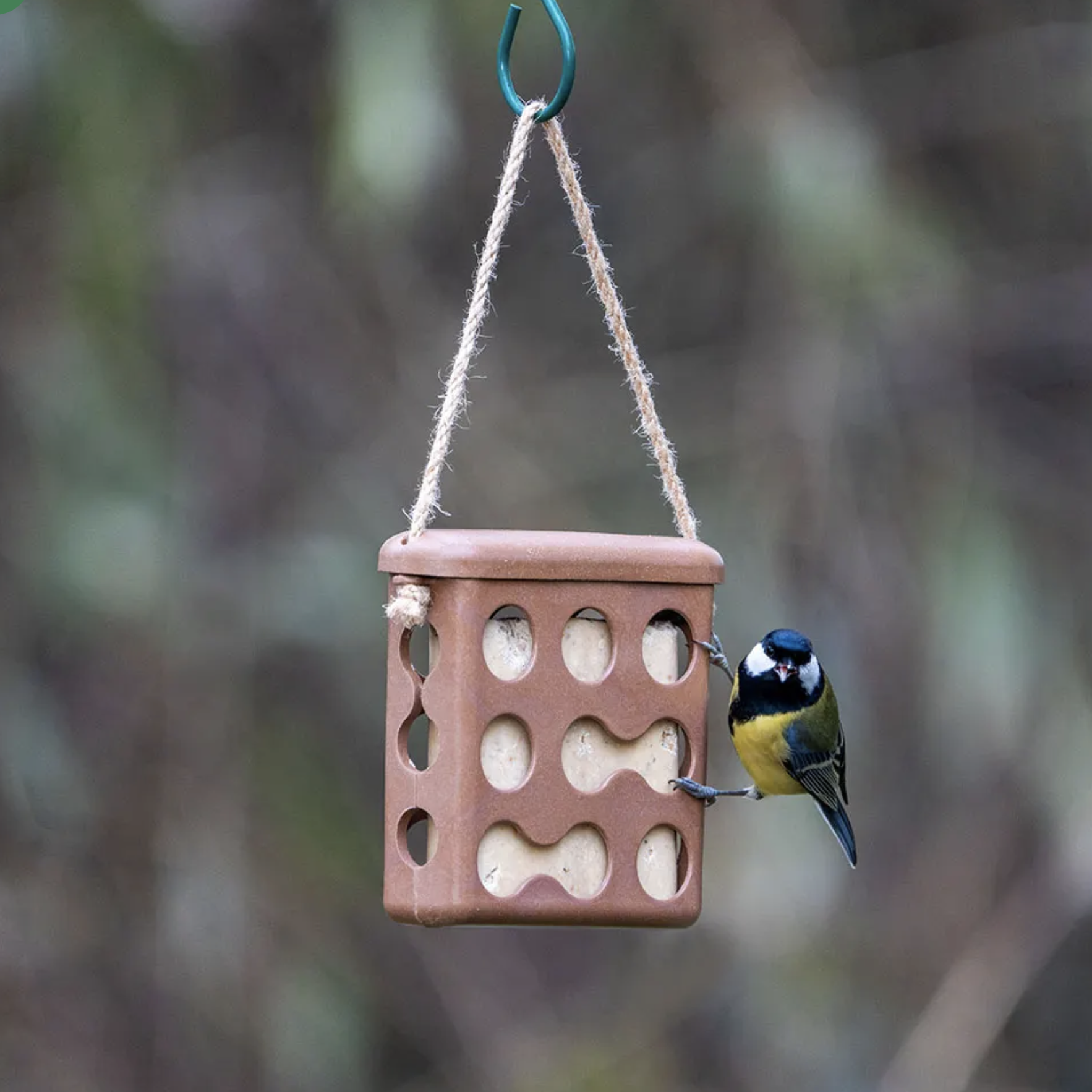 CJ Wildlife Fat Block Holder Rome - Various Colours Available