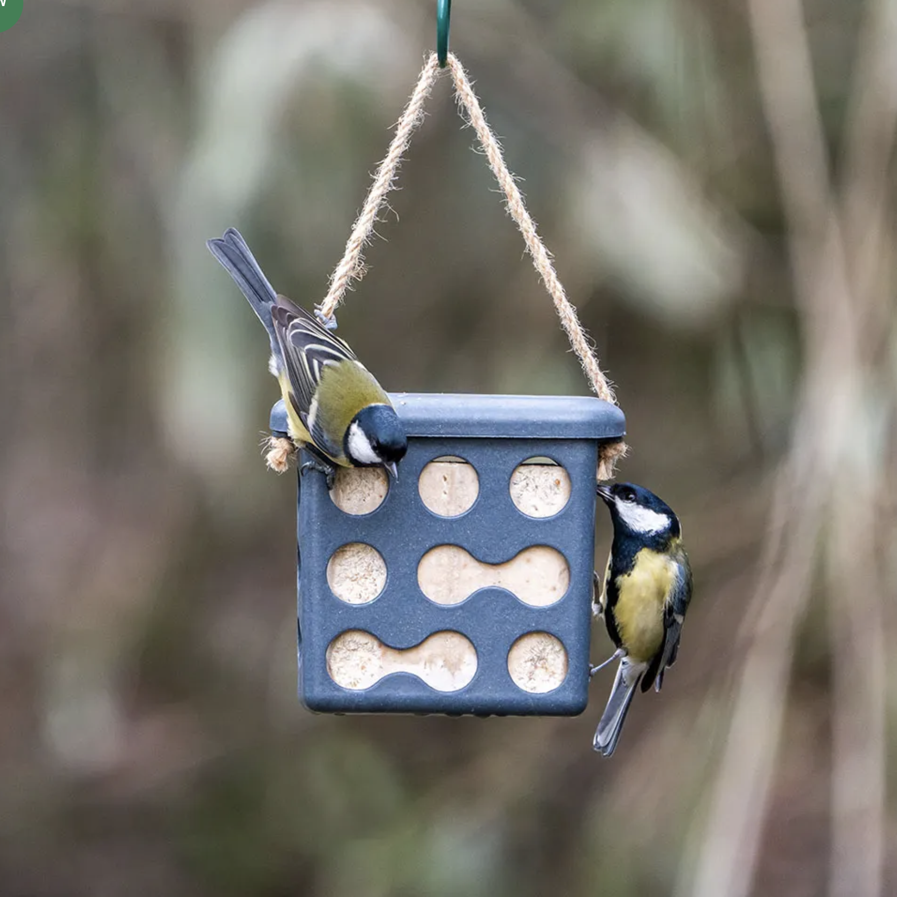 CJ Wildlife Fat Block Holder Rome - Various Colours Available