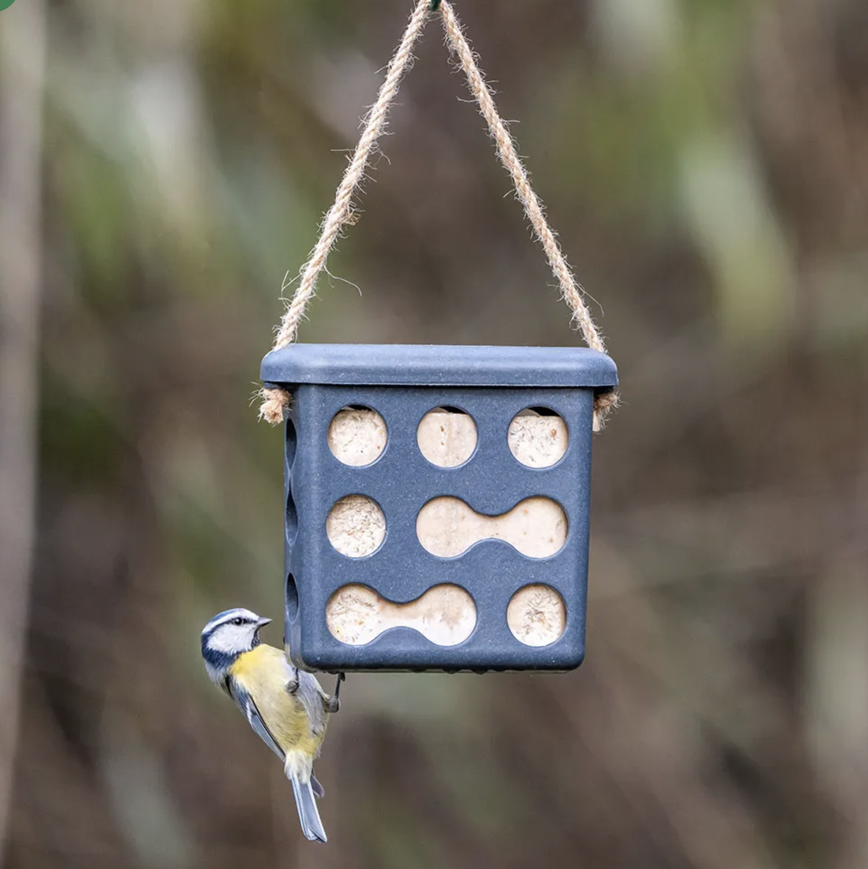 CJ Wildlife Fat Block Holder Rome - Various Colours Available