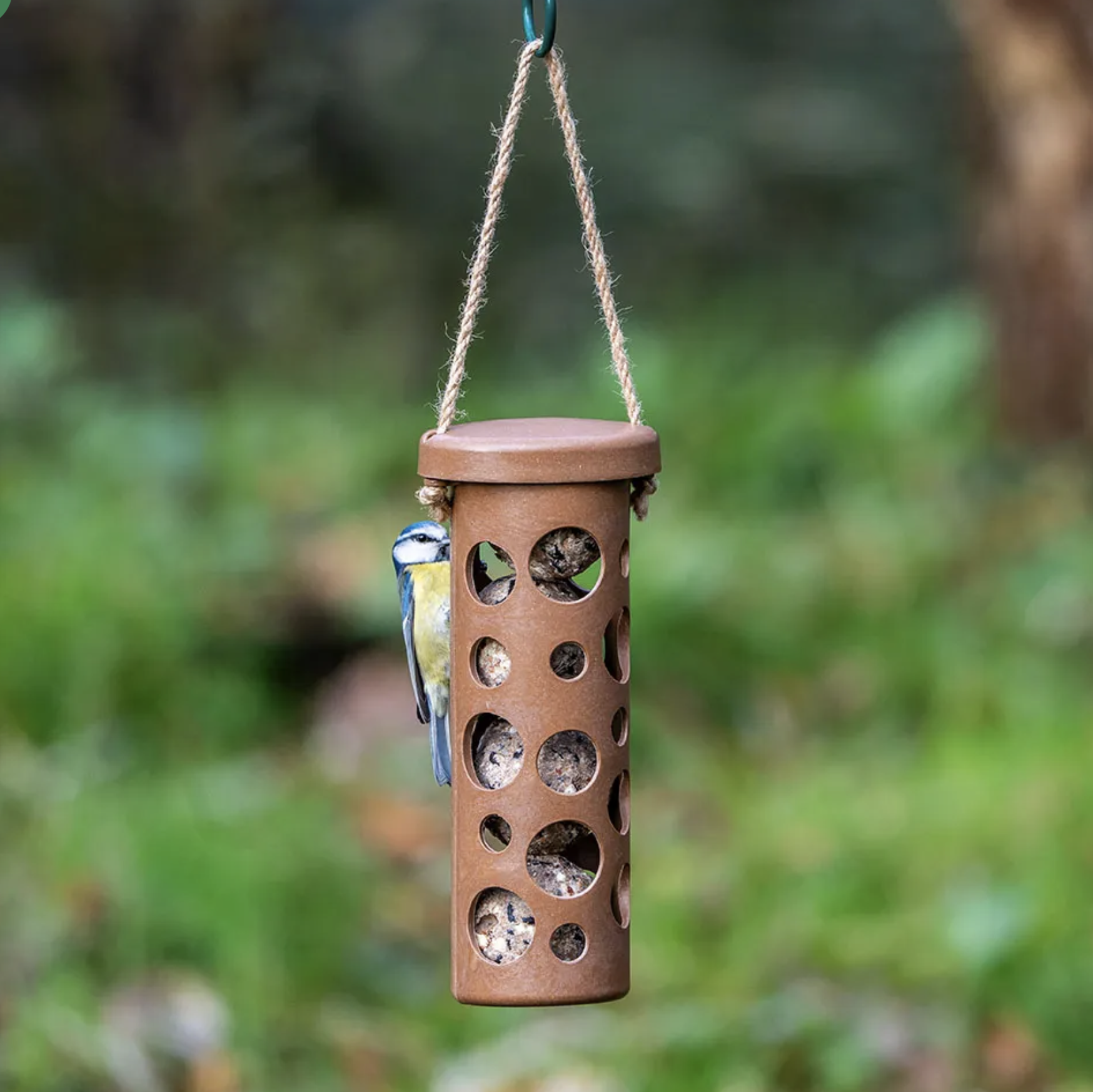 CJ Wildlife Fat Ball Holder Rome - Various Colours Available