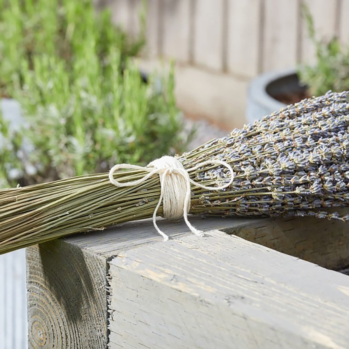 The Good Life Cotton String 90M