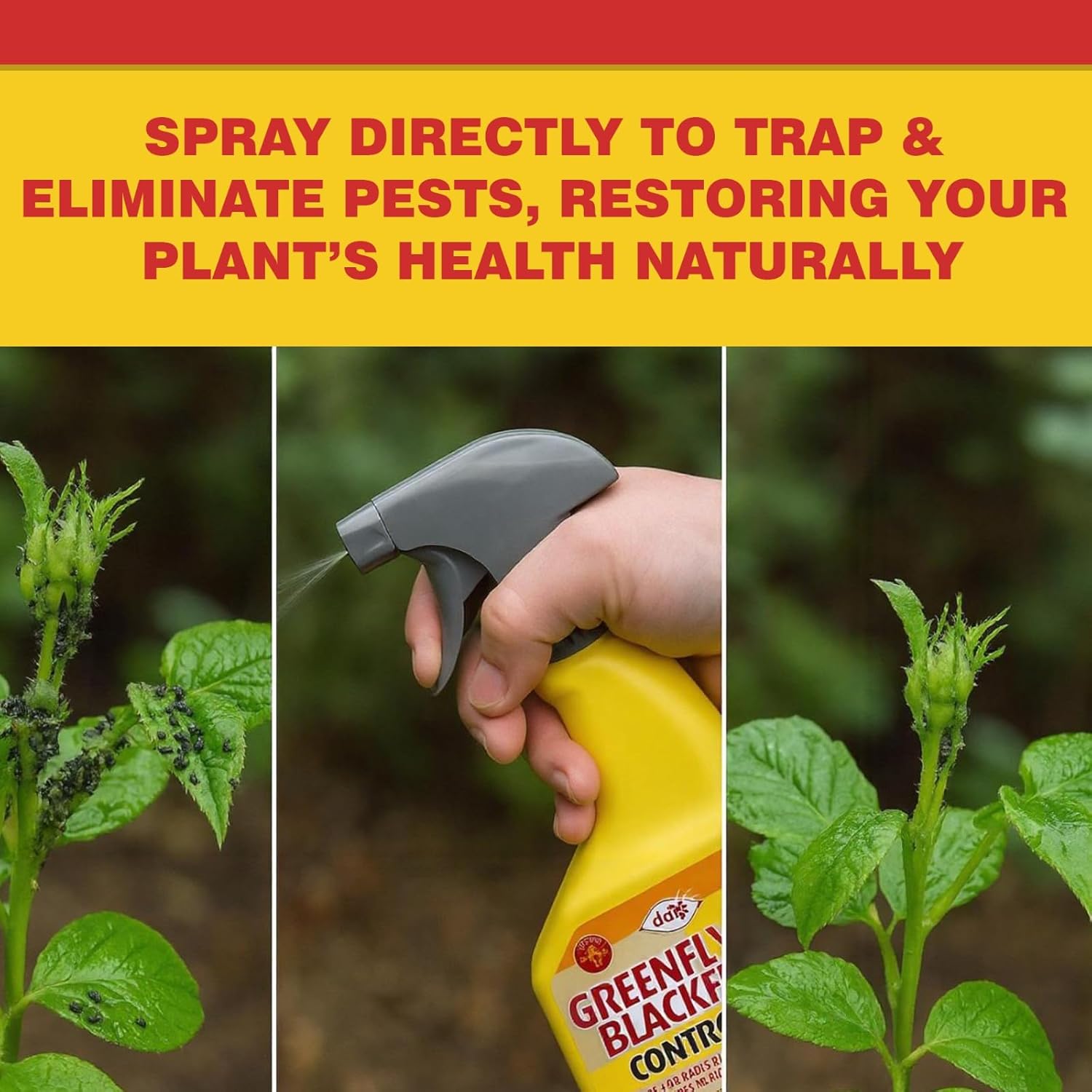 DOFF Greenfly Blackfly Control 1L