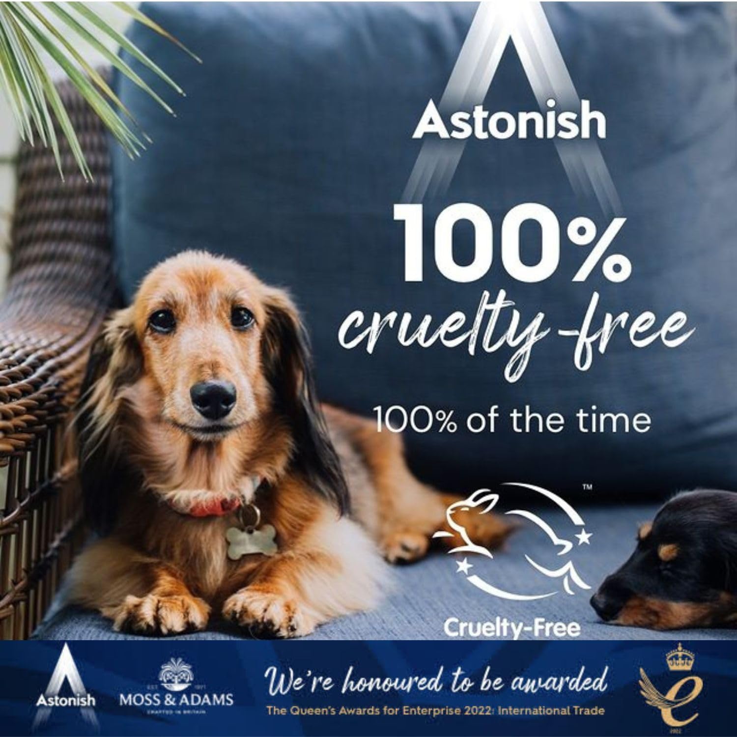 Astonish Ready to Use Disinfectant Linen Fresh 550ml