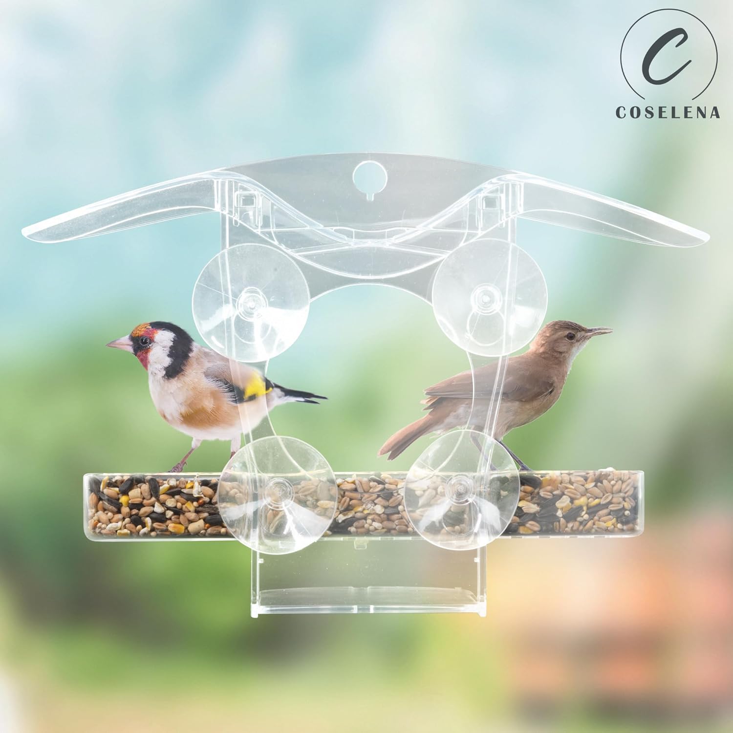 Coselena Window Bird Feeder