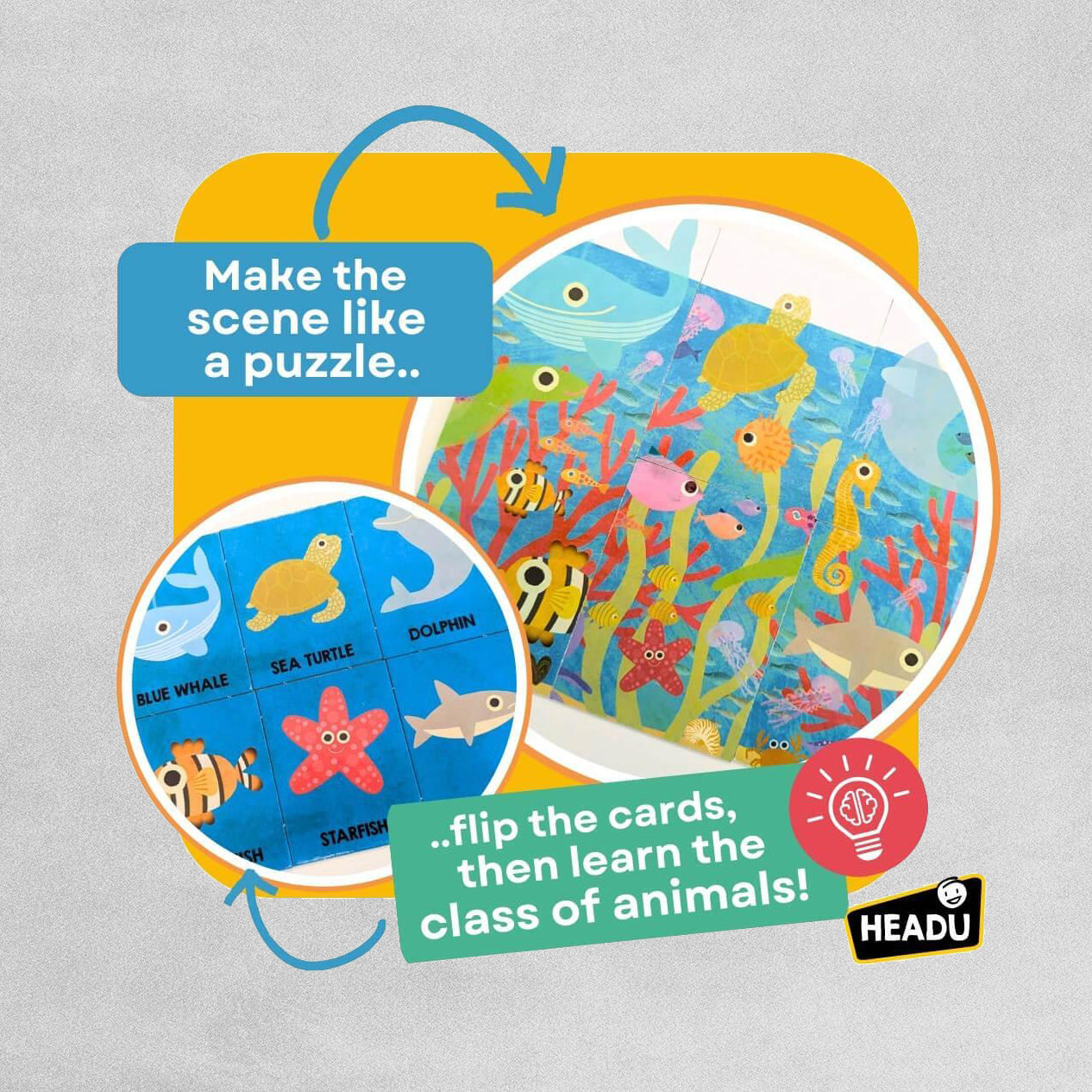 Headu Flashcards First Animal . Encyclopedia Educational Toys. Age 2-4 Years