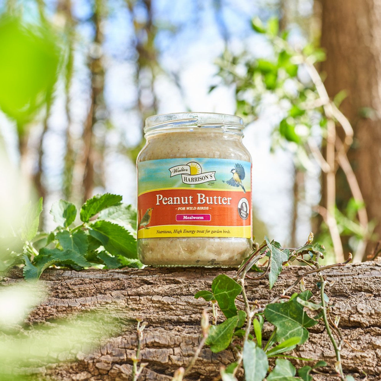 Harrisons Original Peanut Butter Jar for Wild Birds