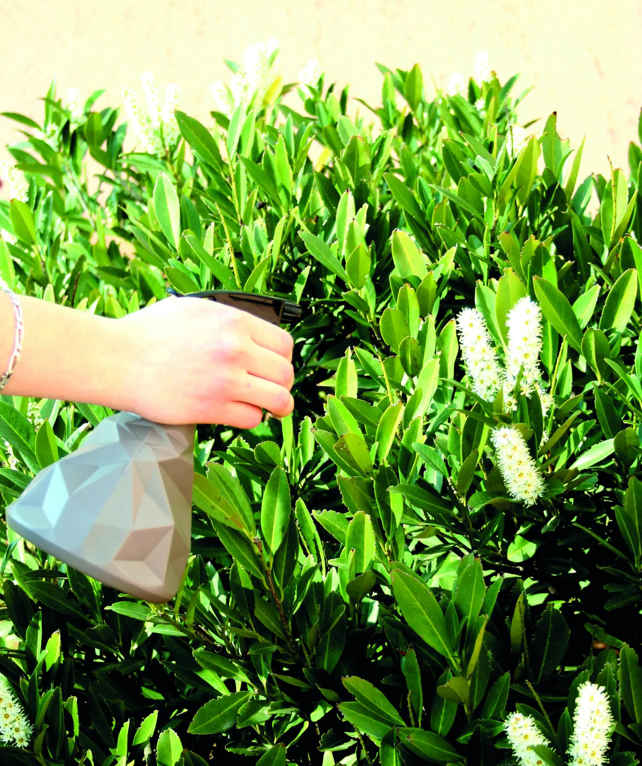 Hozelock Kaléïdo Trigger Sprayer 0.7l