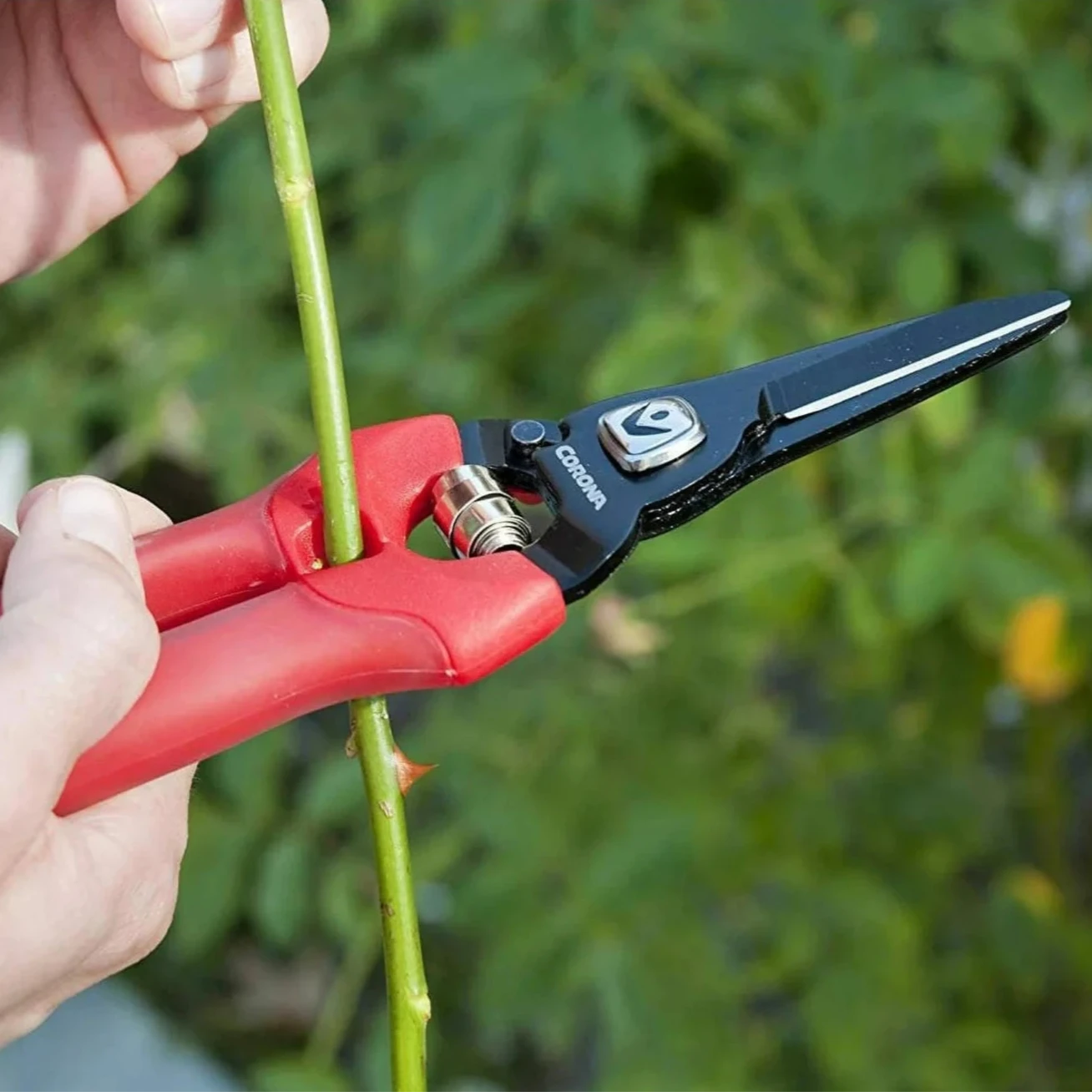 Corona ComfortGEL Fruit & Flower Snip