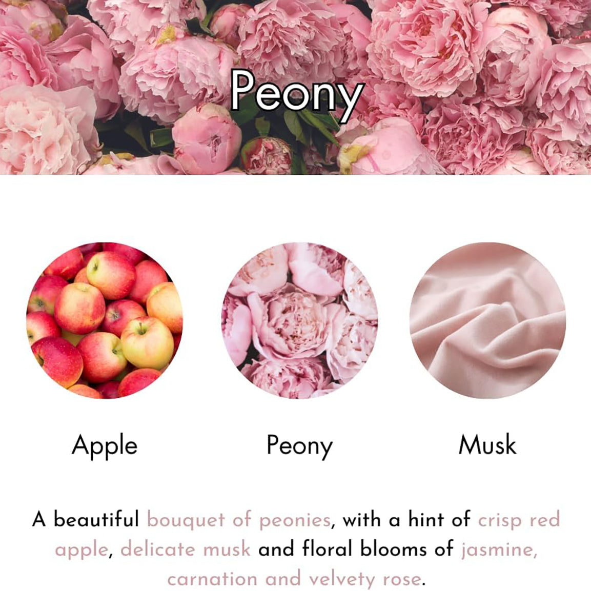 The Scented Home Reed Diffuser 150ml Various Scents