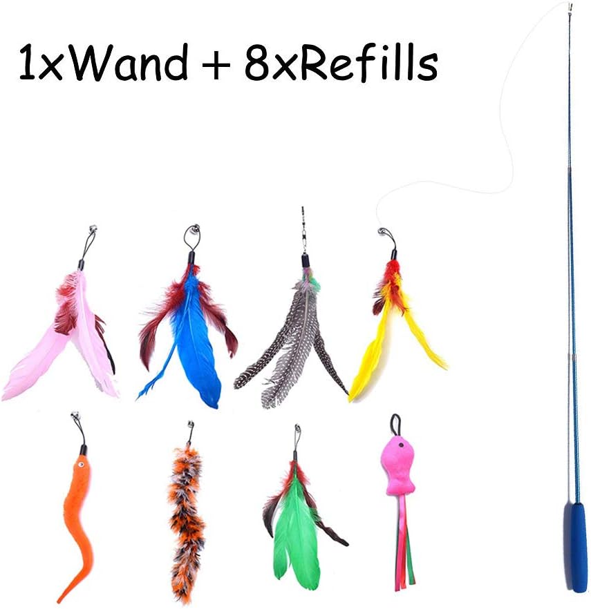 Cat Fishing Rod Toy Set with 9 attachments