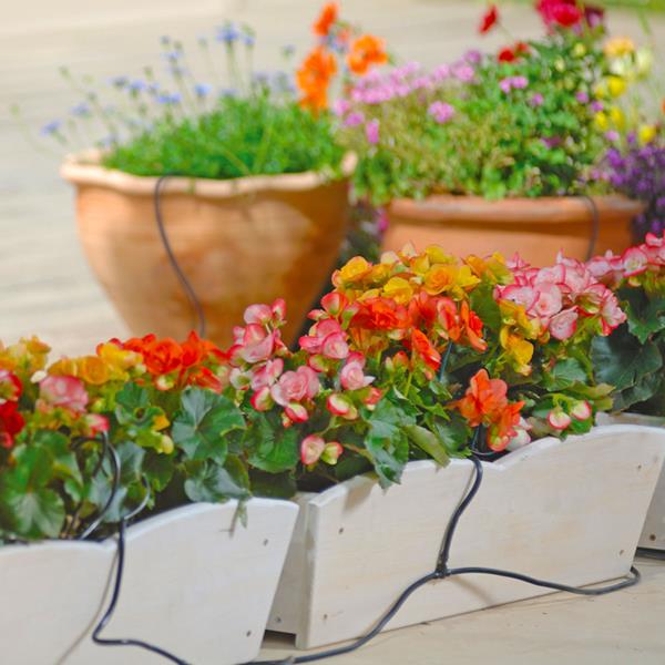 Flopro Plug & Go Watering Kit - Pots & Containers