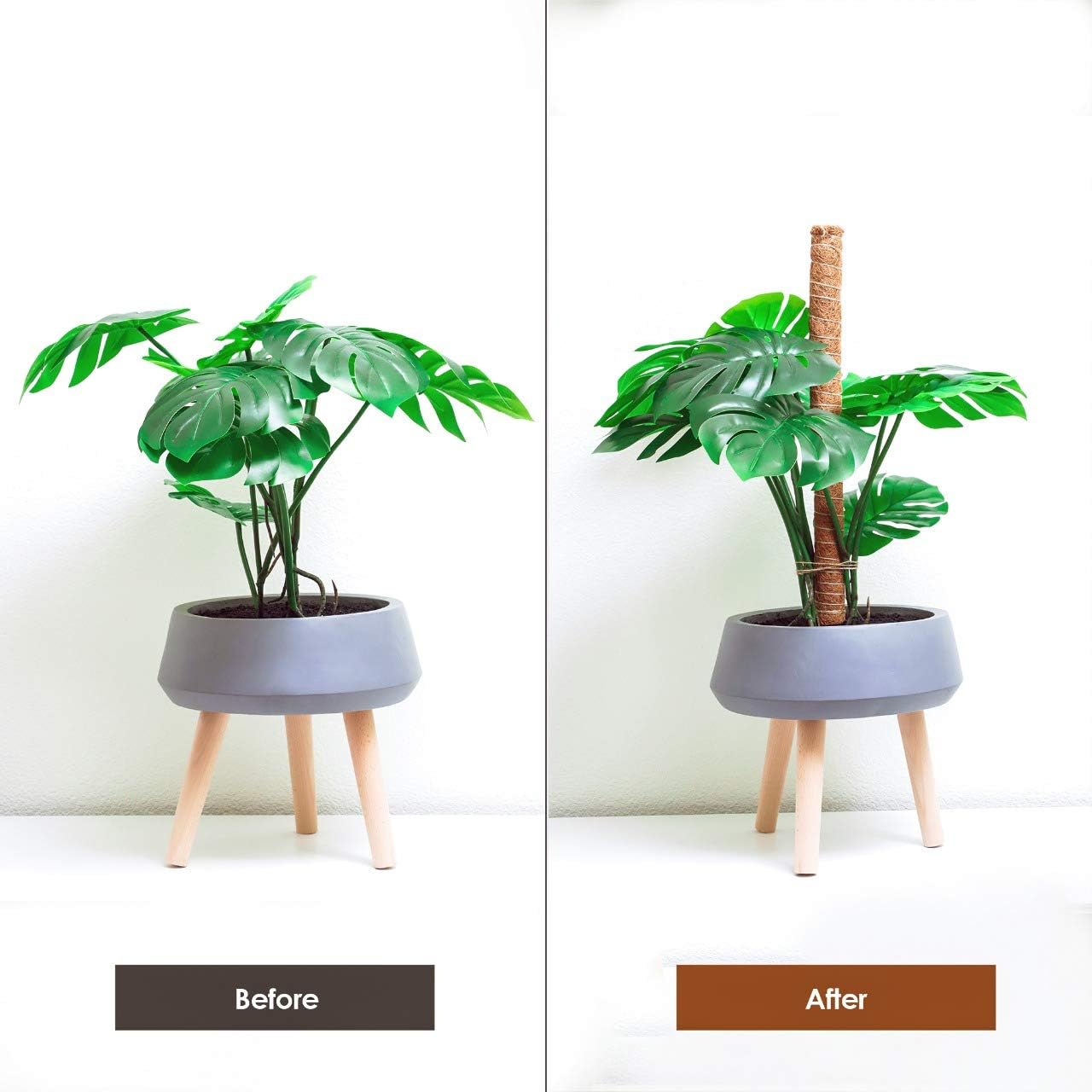 Estive's Moss Poles - pack of 2 with accessories