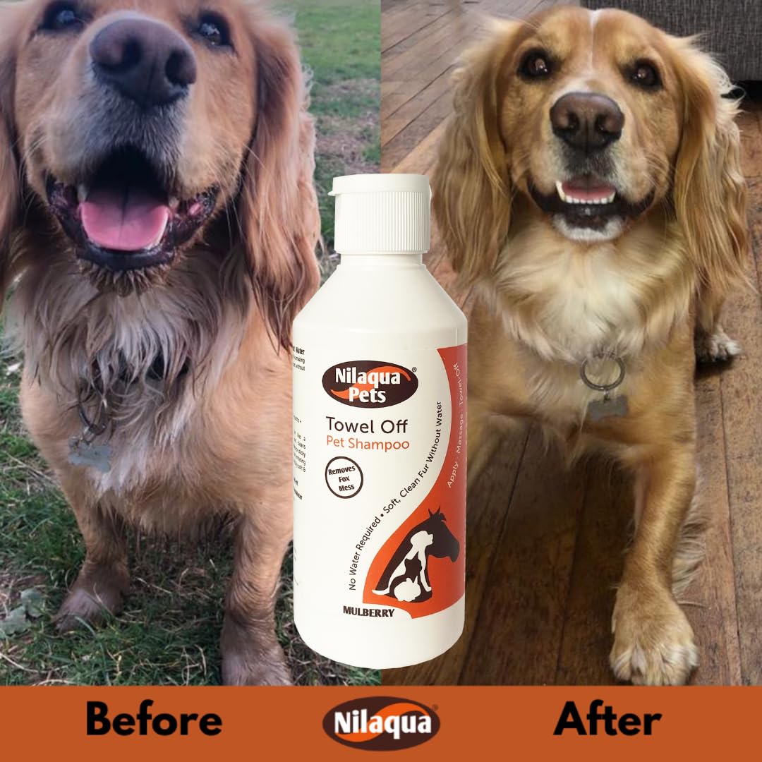 Nilaqua Pets Towel Off Pet Shampoo - Various Scents and Sizes Available