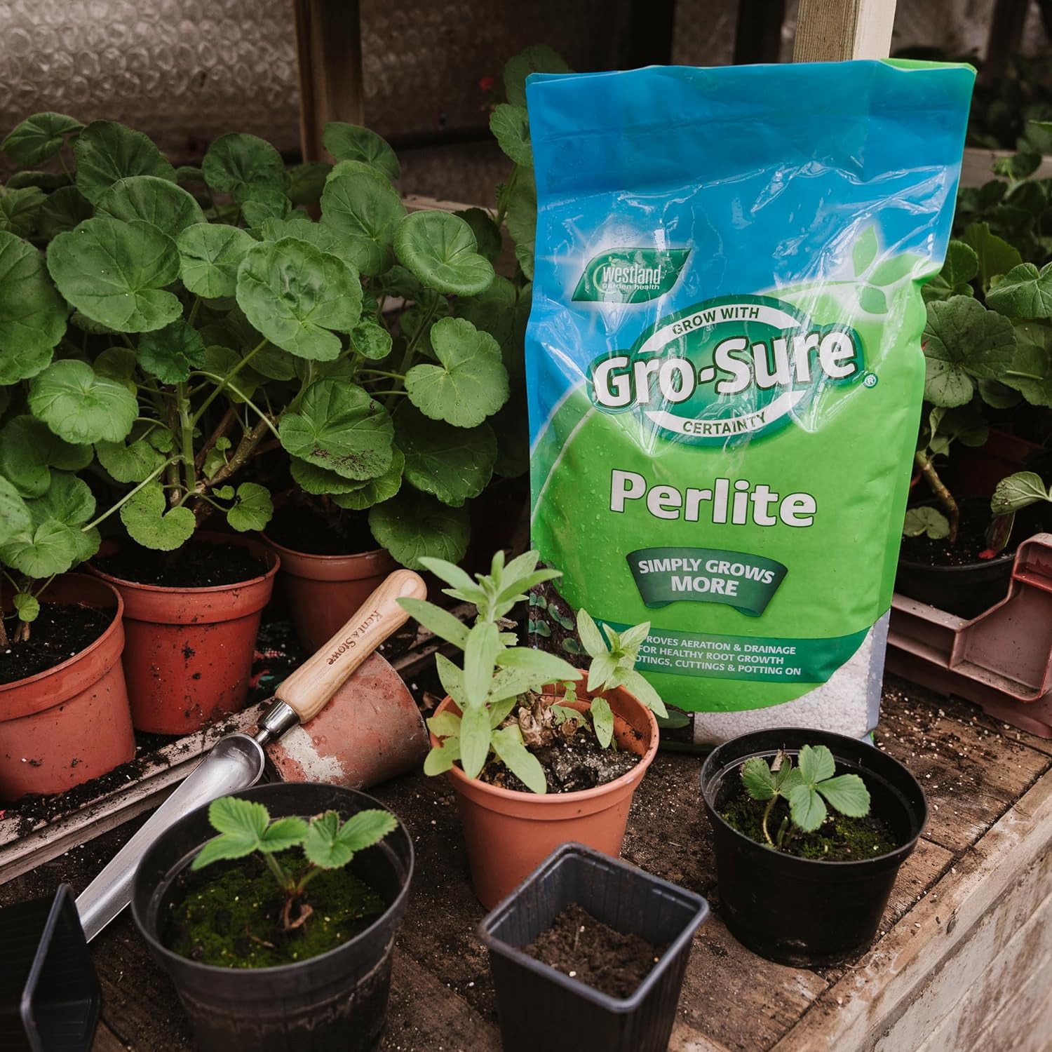 Gro-Sure Perlite 10L