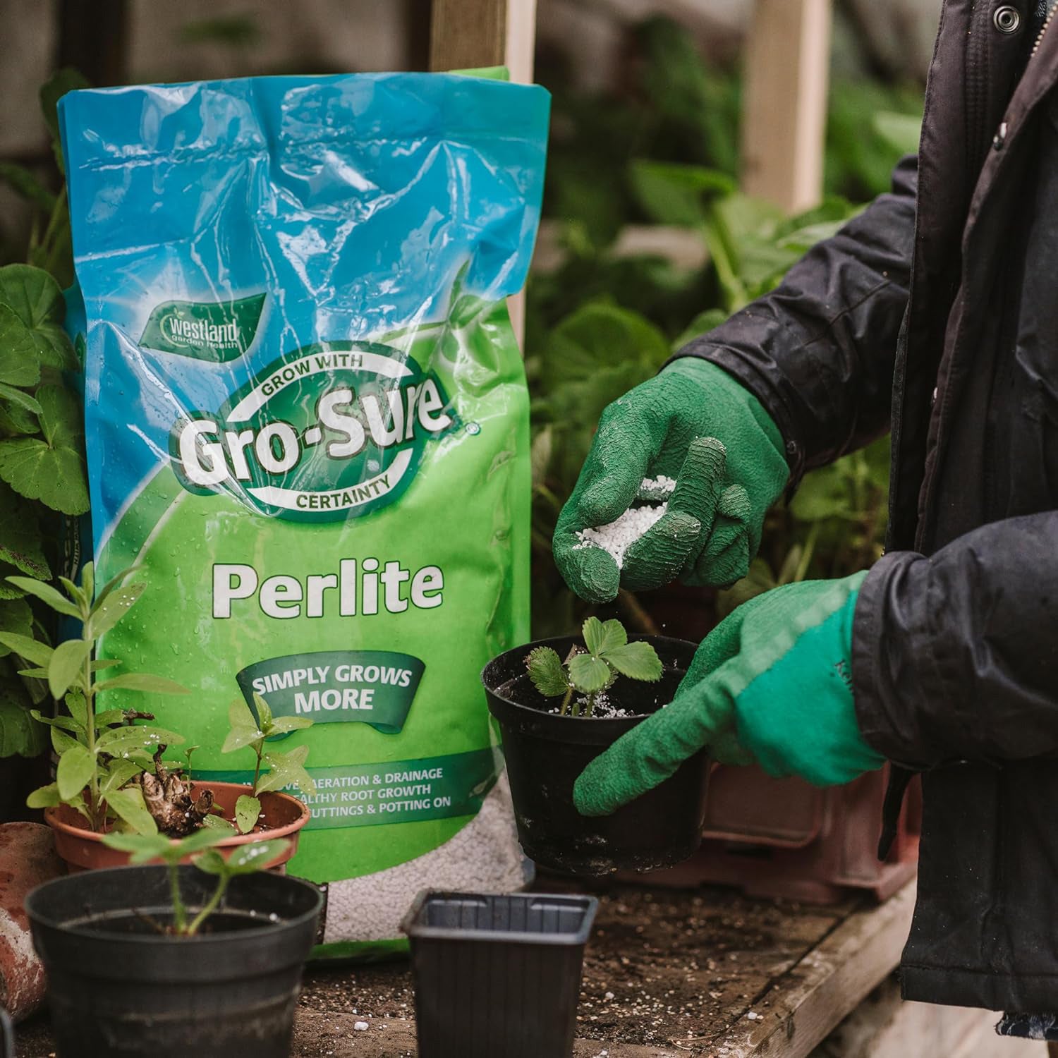 Gro-Sure Perlite 10L