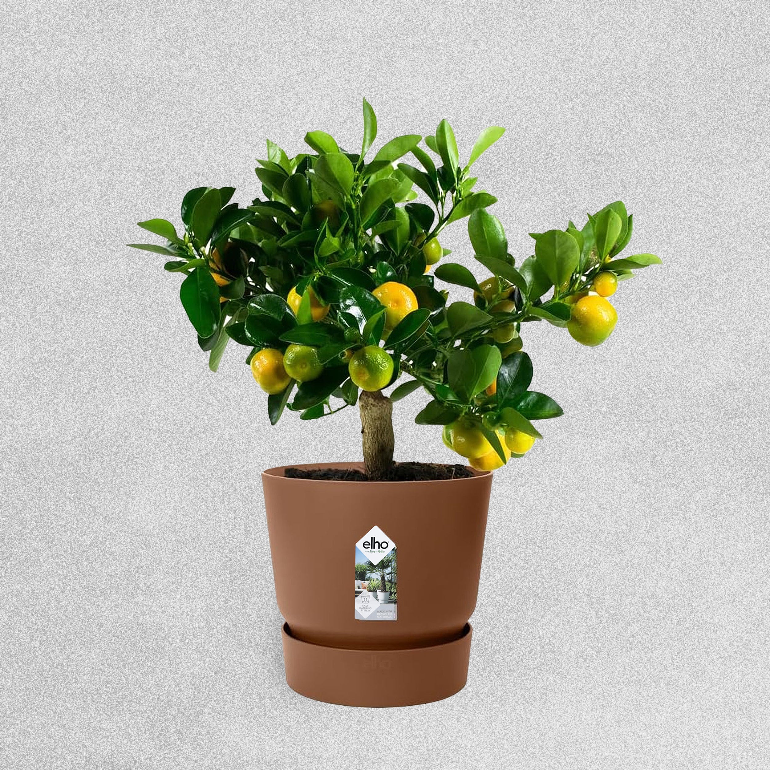 Elho Greenville Round Ginger/Brown Flower Pot