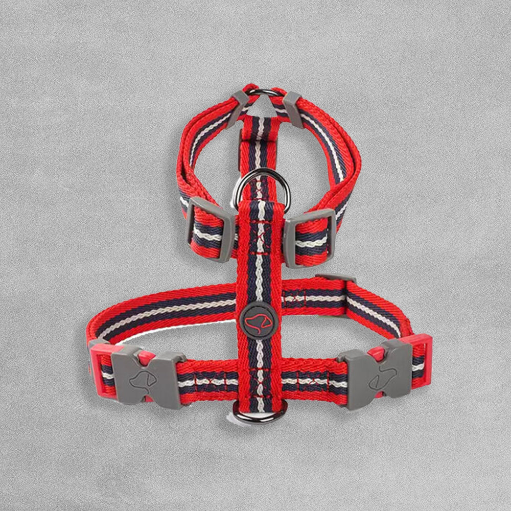 Zoon Walkabout Dog Harness