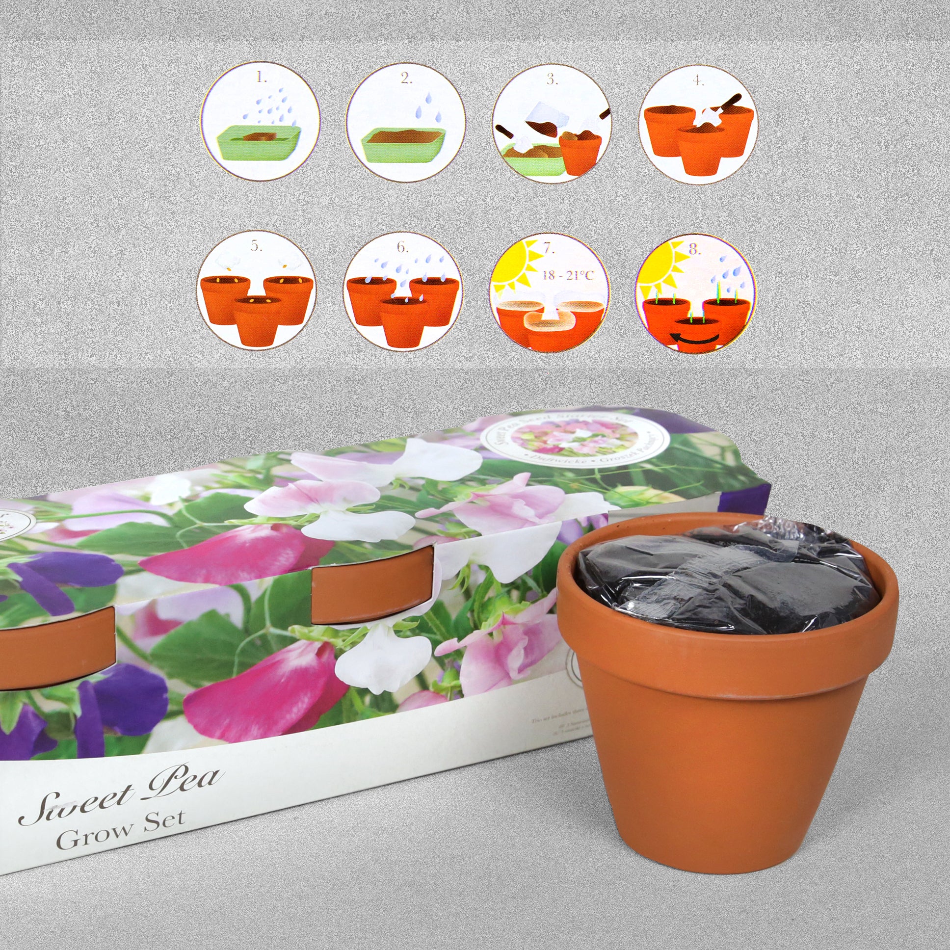 Beautifleur Sweet Pea Trio Terracotta Grow Set