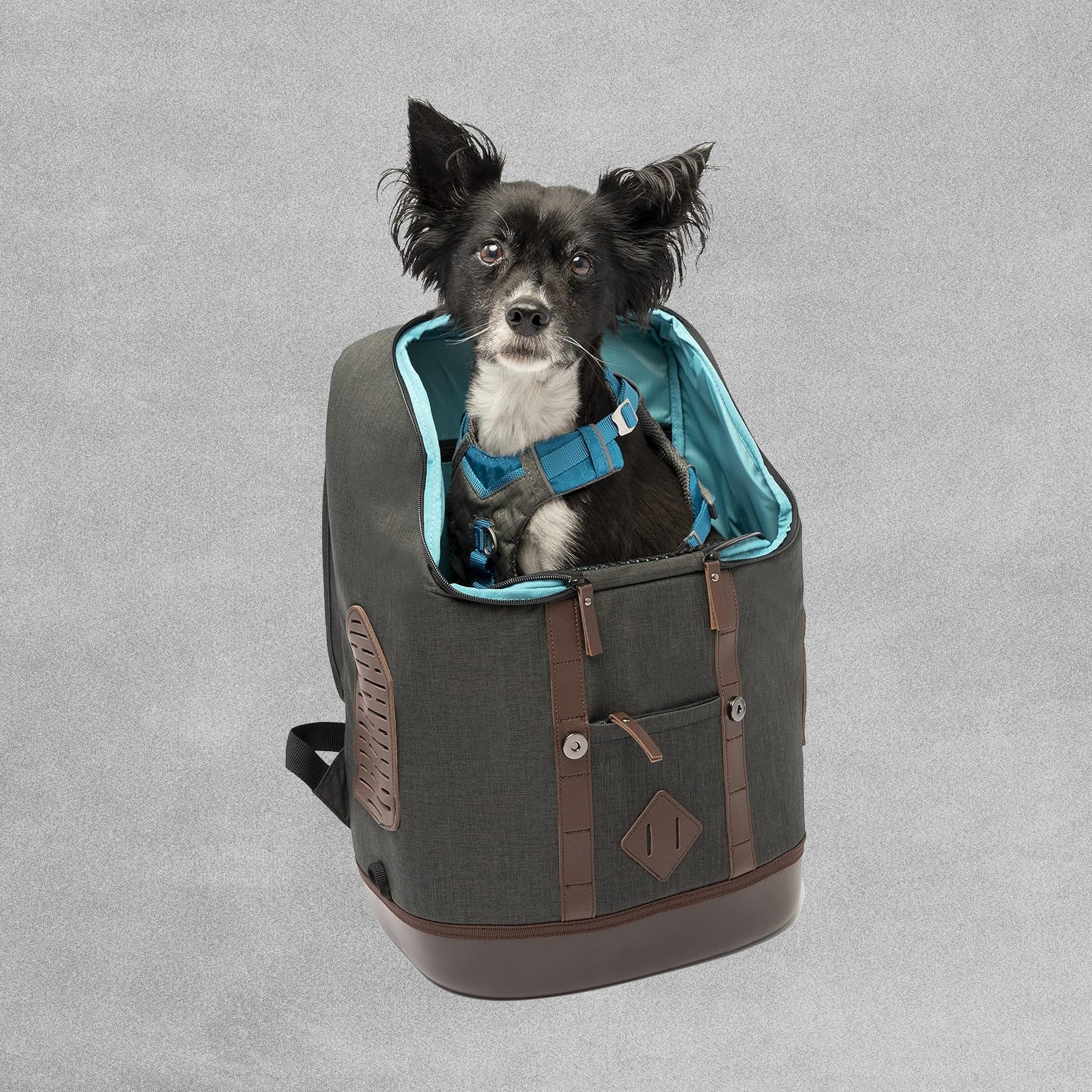 Kurgo K9 Rucksack