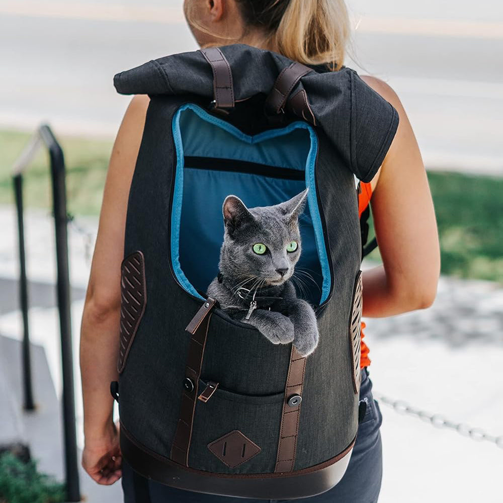Kurgo K9 Rucksack