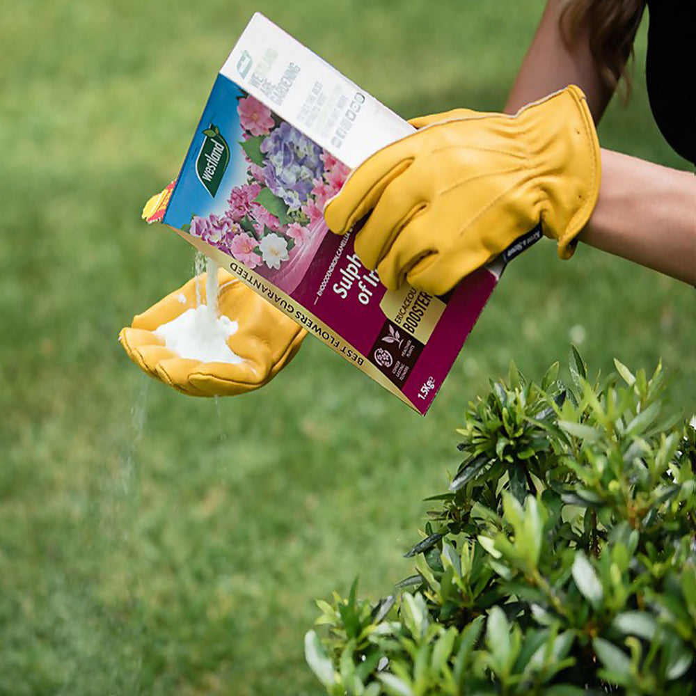 Westland Sulphate of Iron Ericaceous Booster - 1.5kg