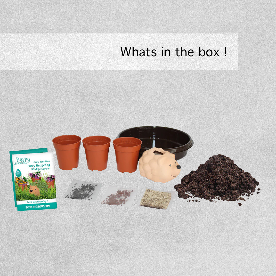 Furry Hedgehog Wildlife Garden