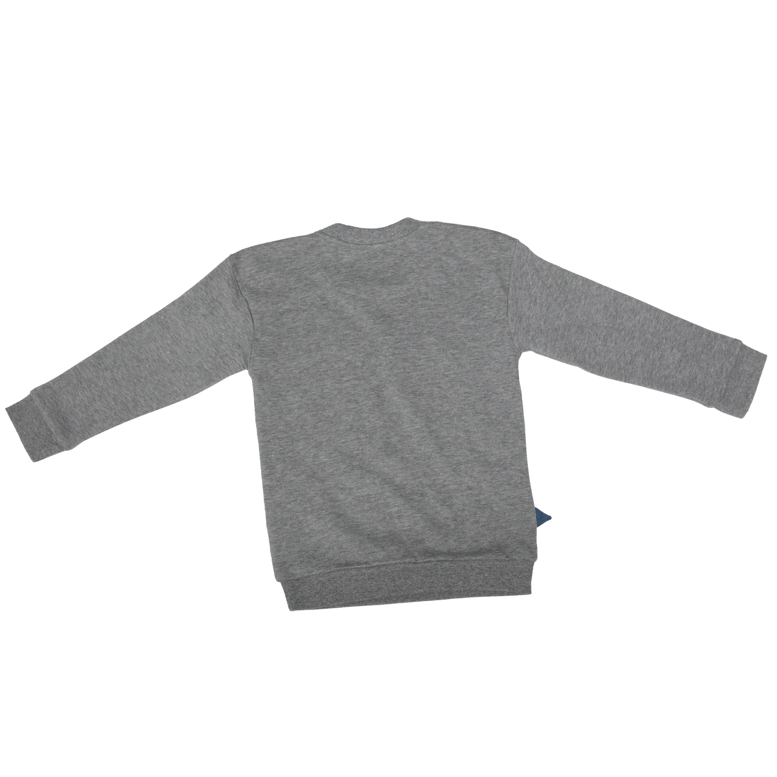 Nutmeg - Children's Dinosaur Sweatshirt