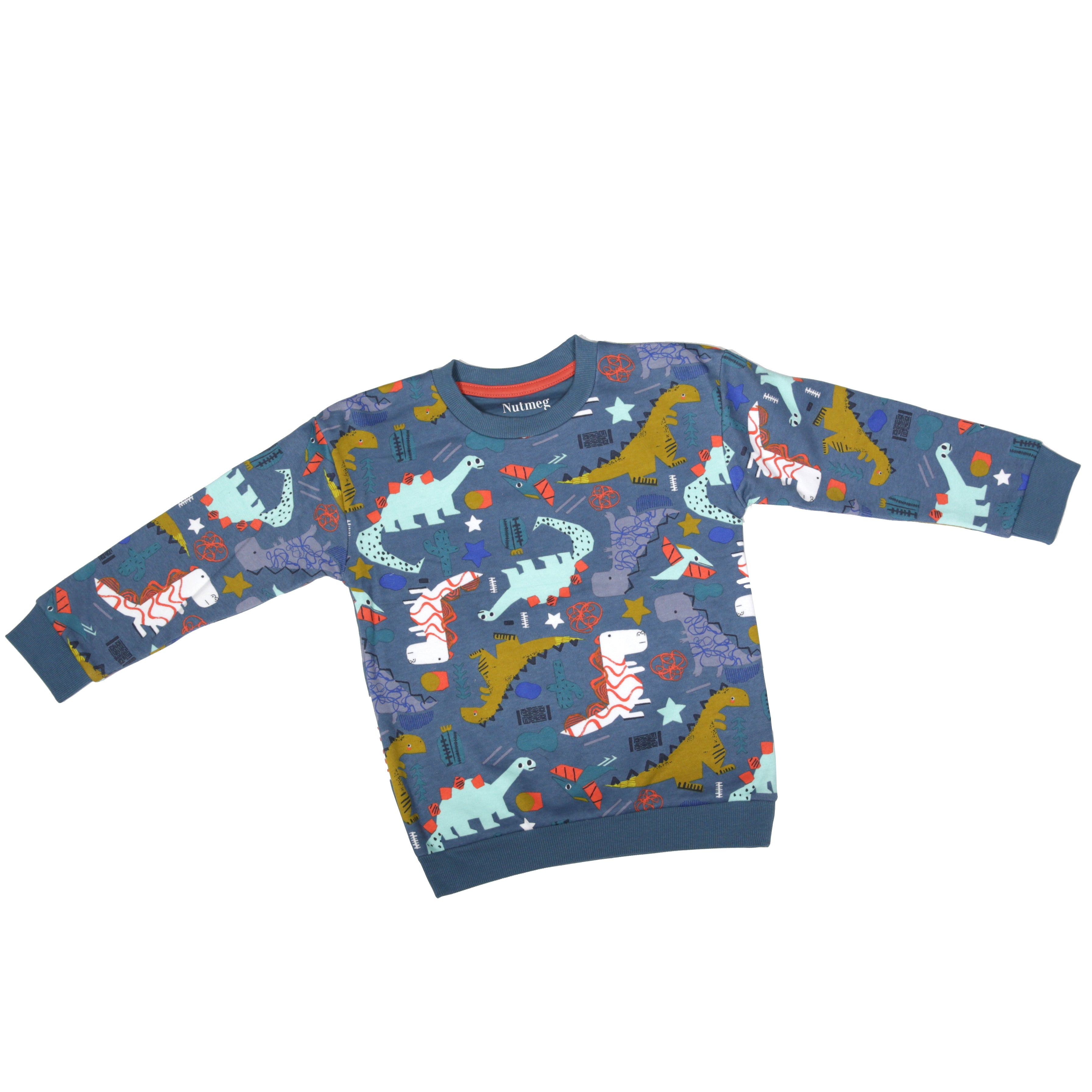 Nutmeg - Children's Dinosaur Sweatshirt