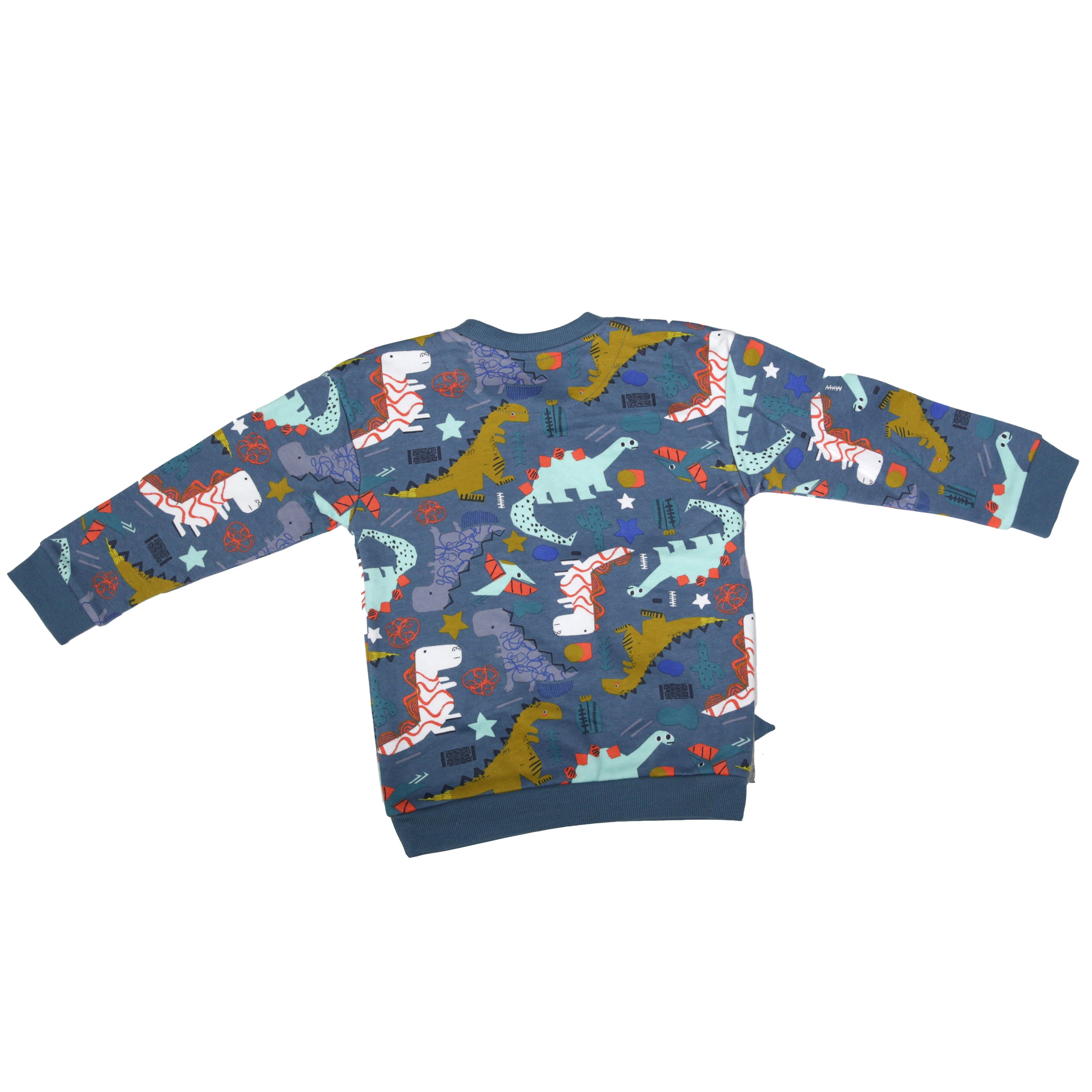 Nutmeg - Children's Dinosaur Sweatshirt