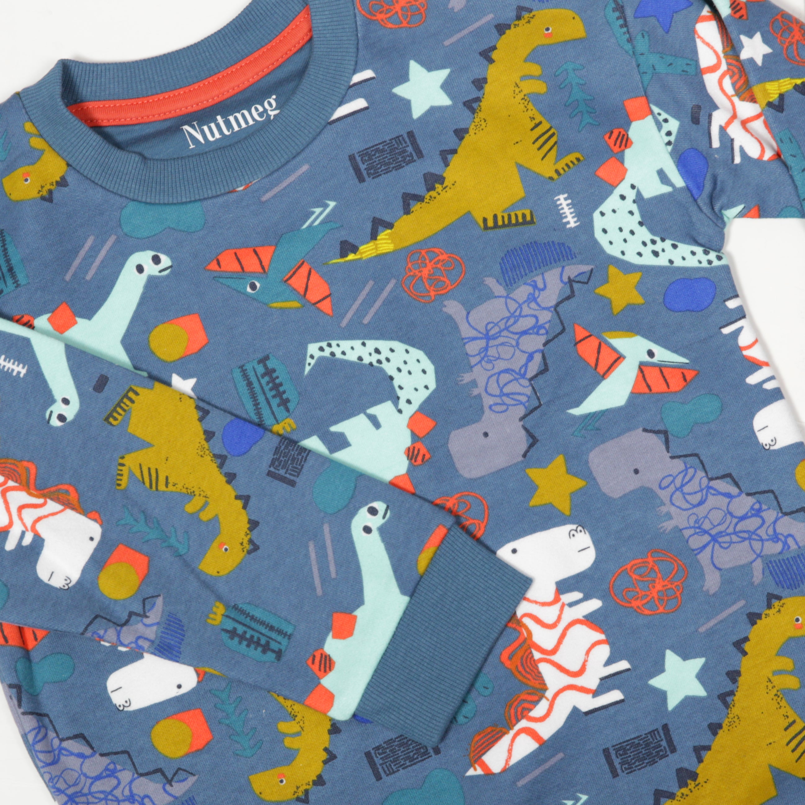 Nutmeg - Children's Dinosaur Sweatshirt