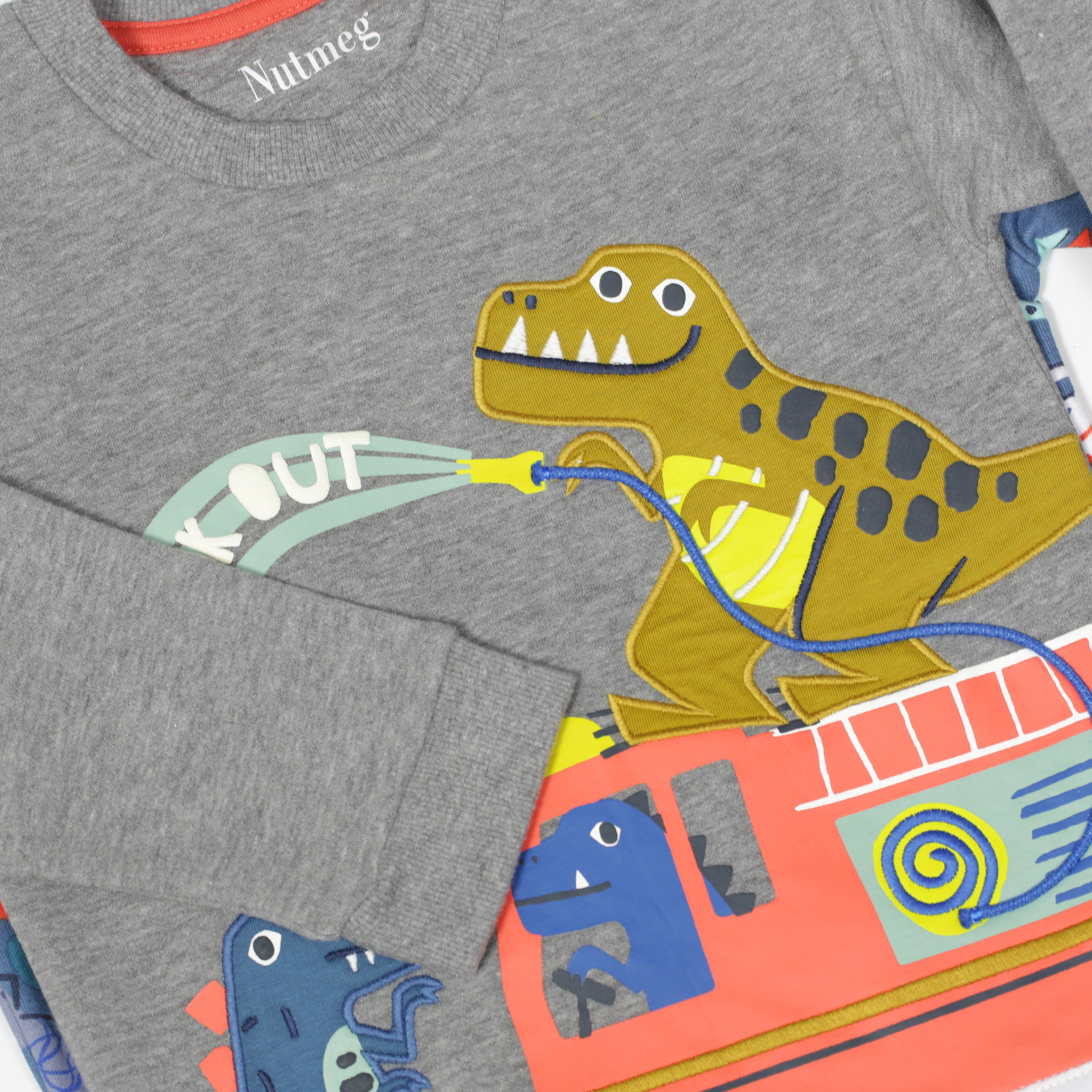 Nutmeg - Children's Dinosaur Sweatshirt