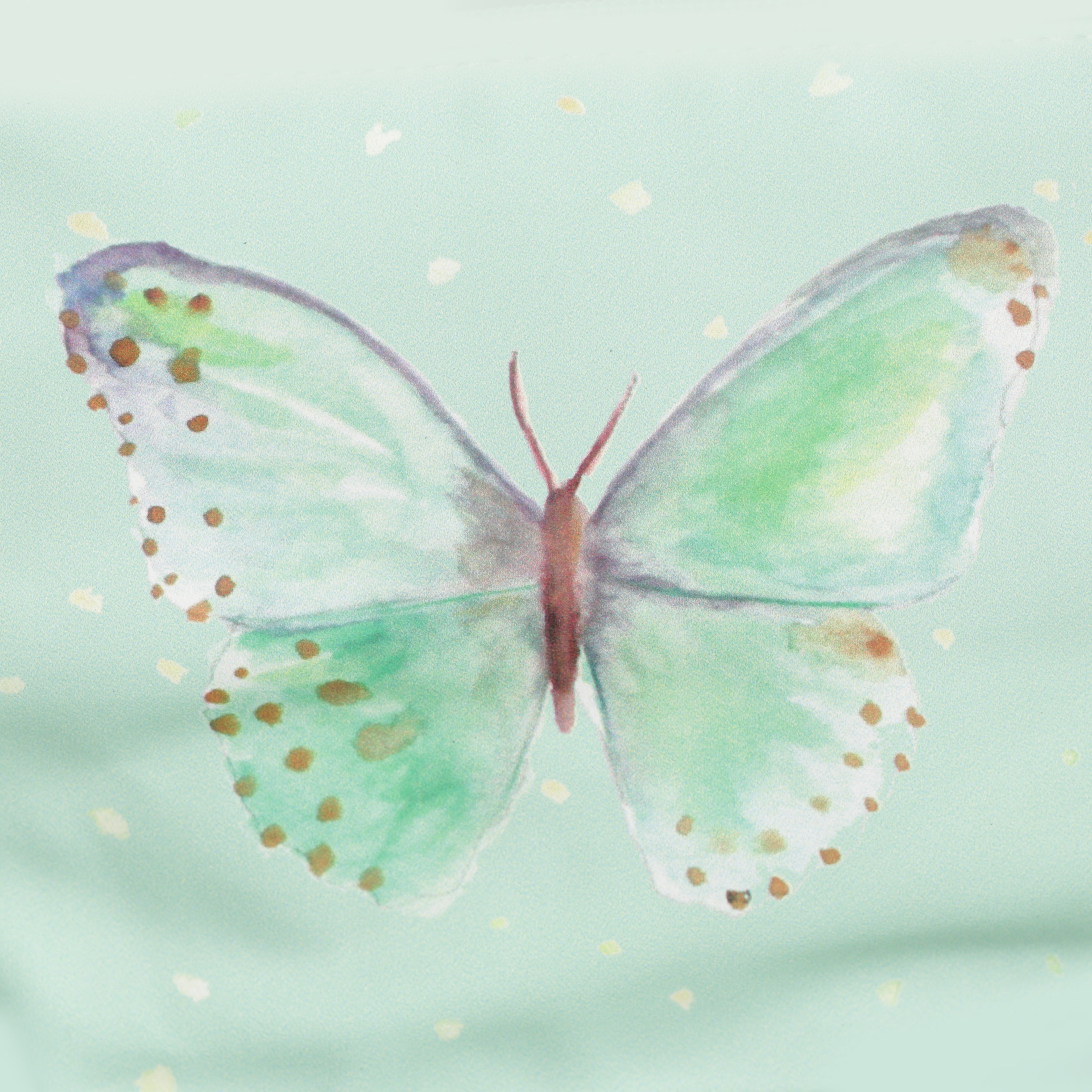 Black Ginger Wash/Cosmetic Bags