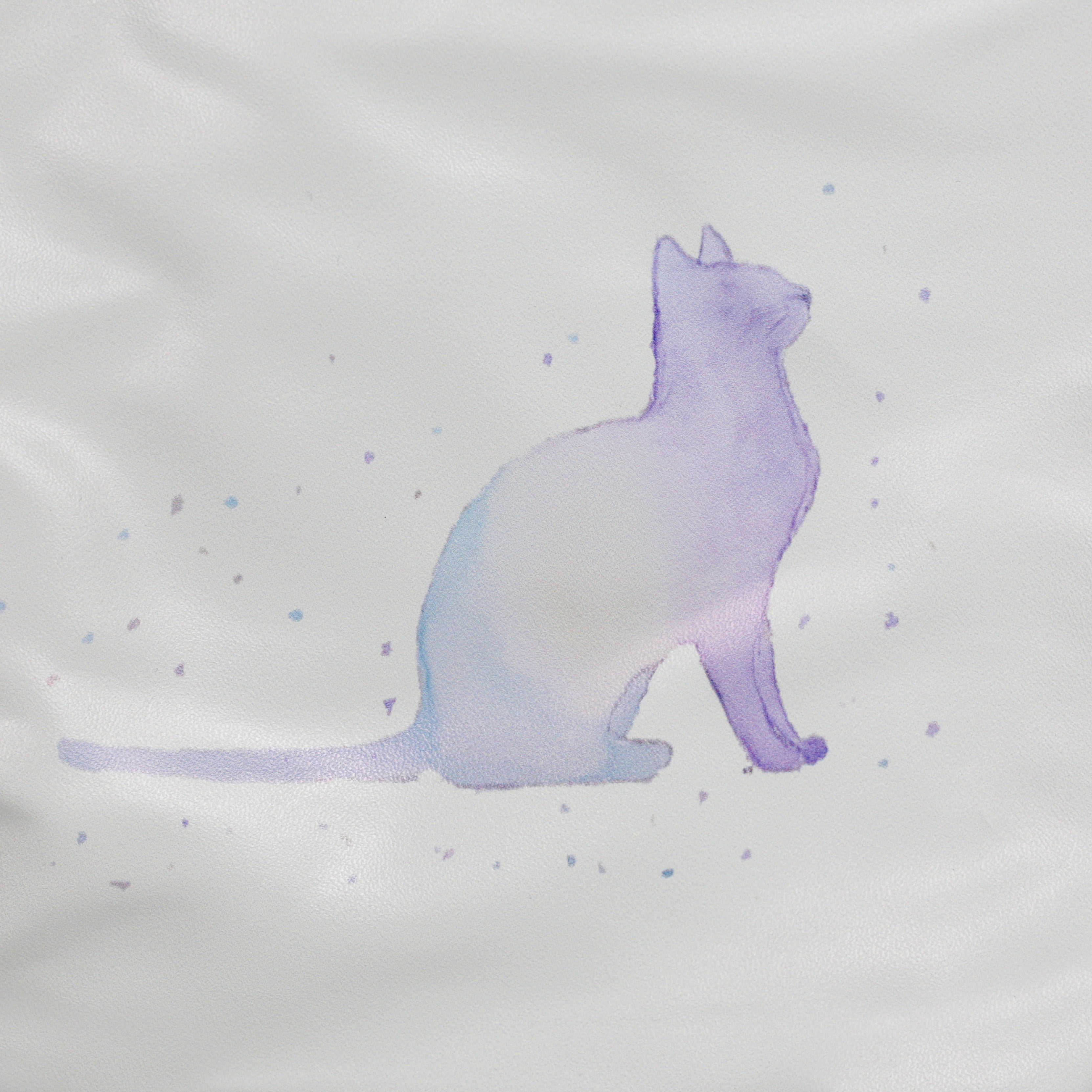 Black Ginger Wash/Cosmetic Bags