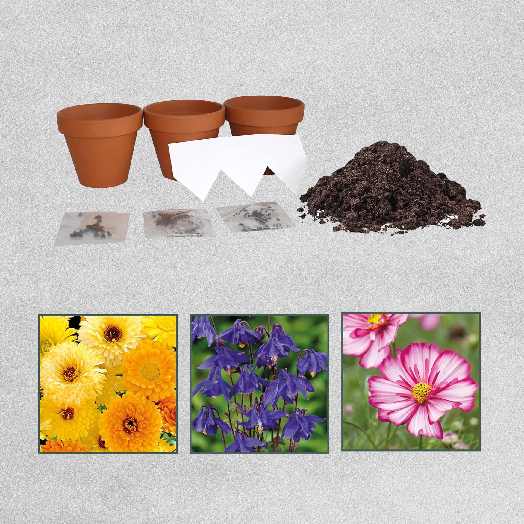 Bees Cut Flower Collection Tube Gift Set