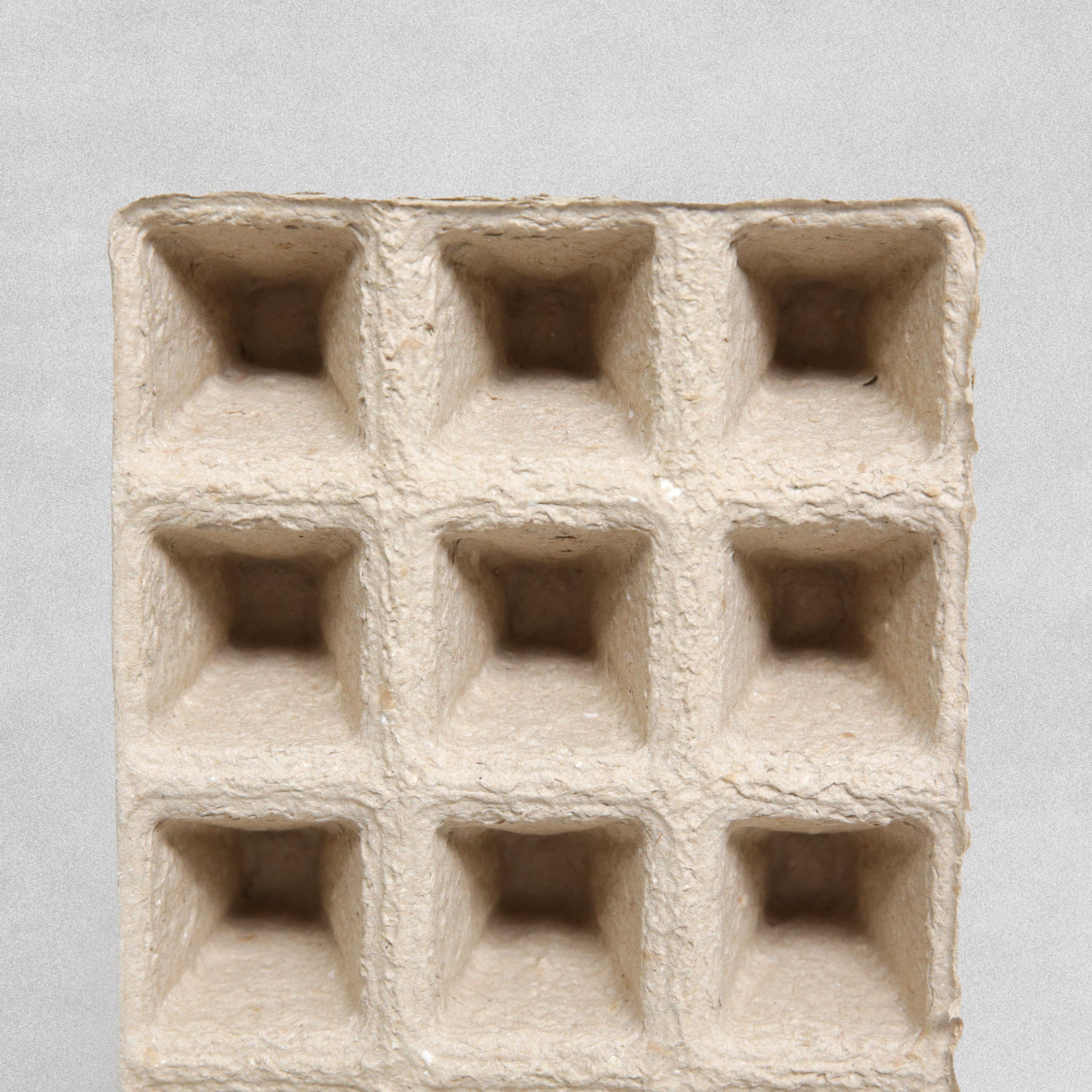 Square Seedling Trays - 6pcs