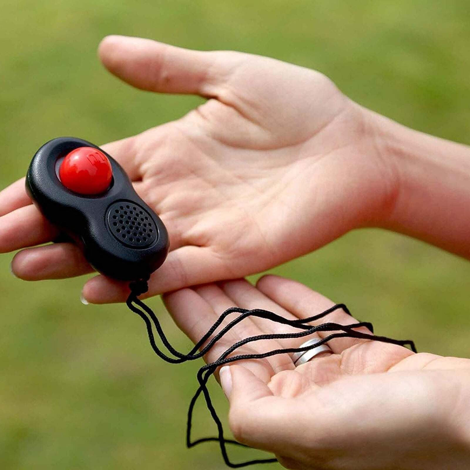 Mikki Clikka Training Aid