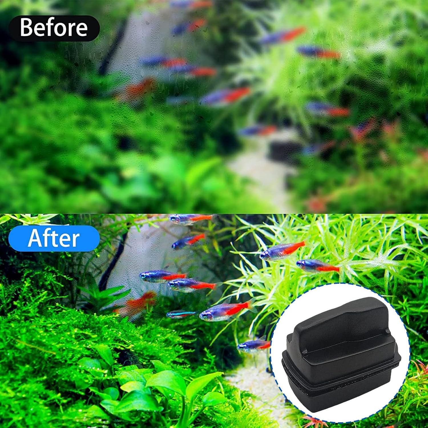 Aquarium Magnetic Algae Scraper