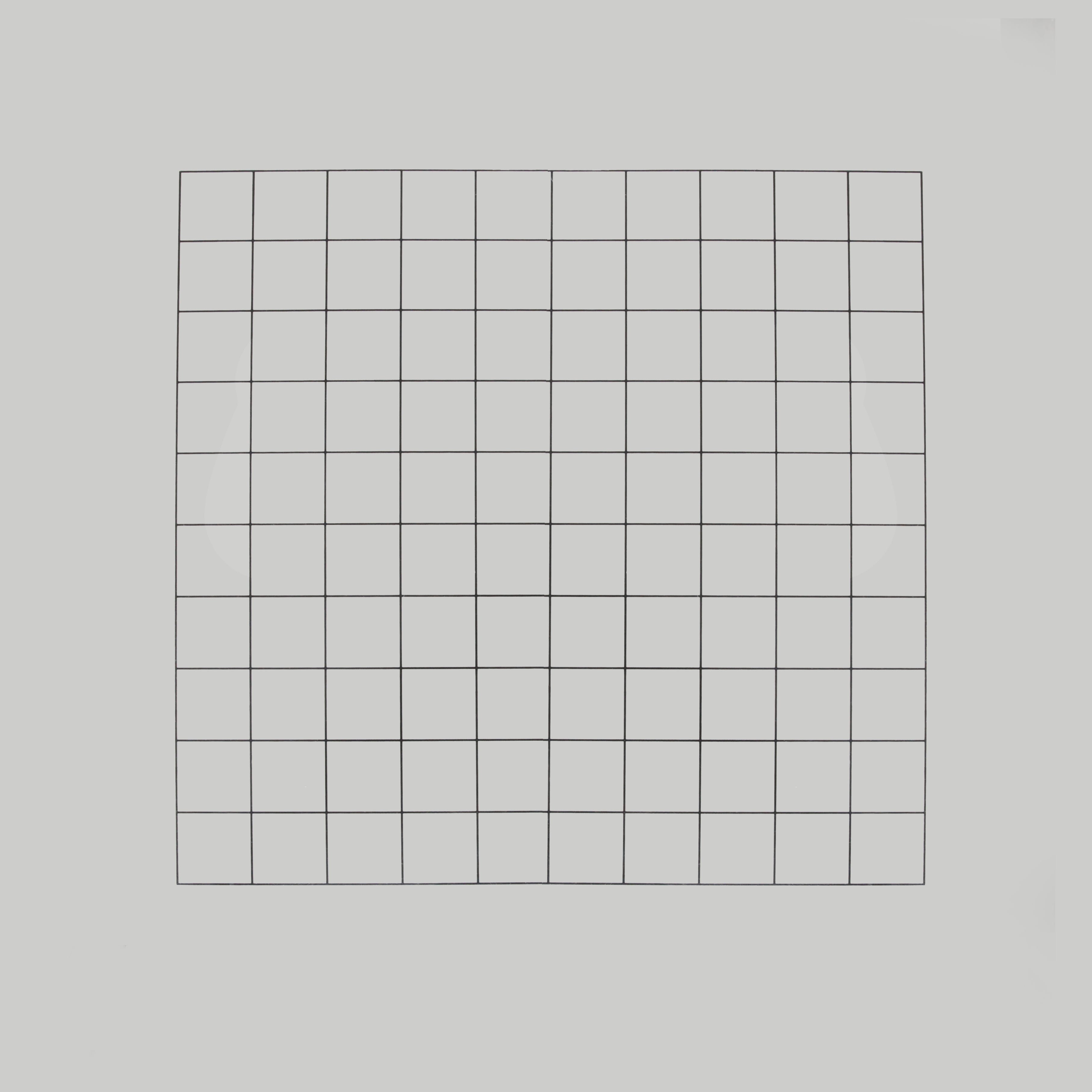 Large Transparent Blank Grid