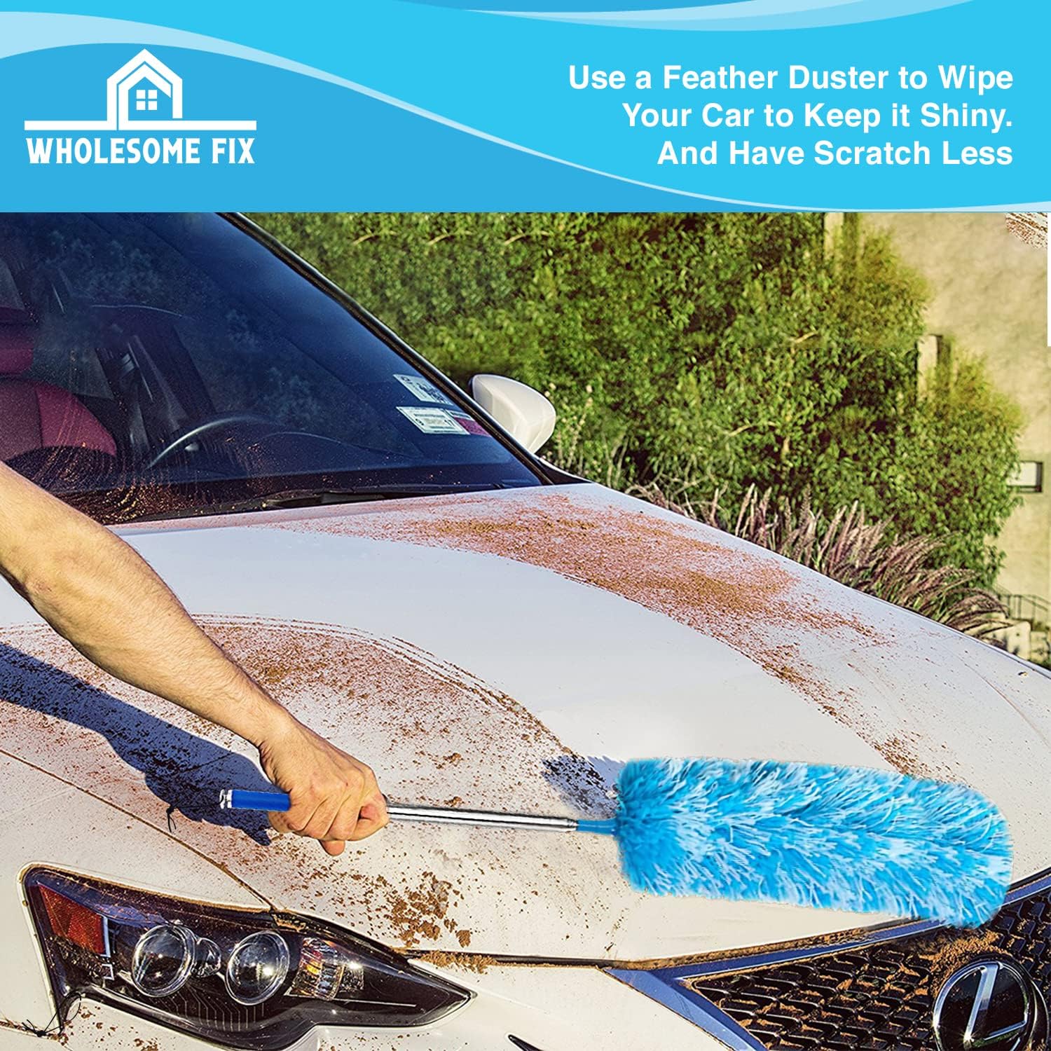 Wholesome Fix Feather Duster - Various Colours Available