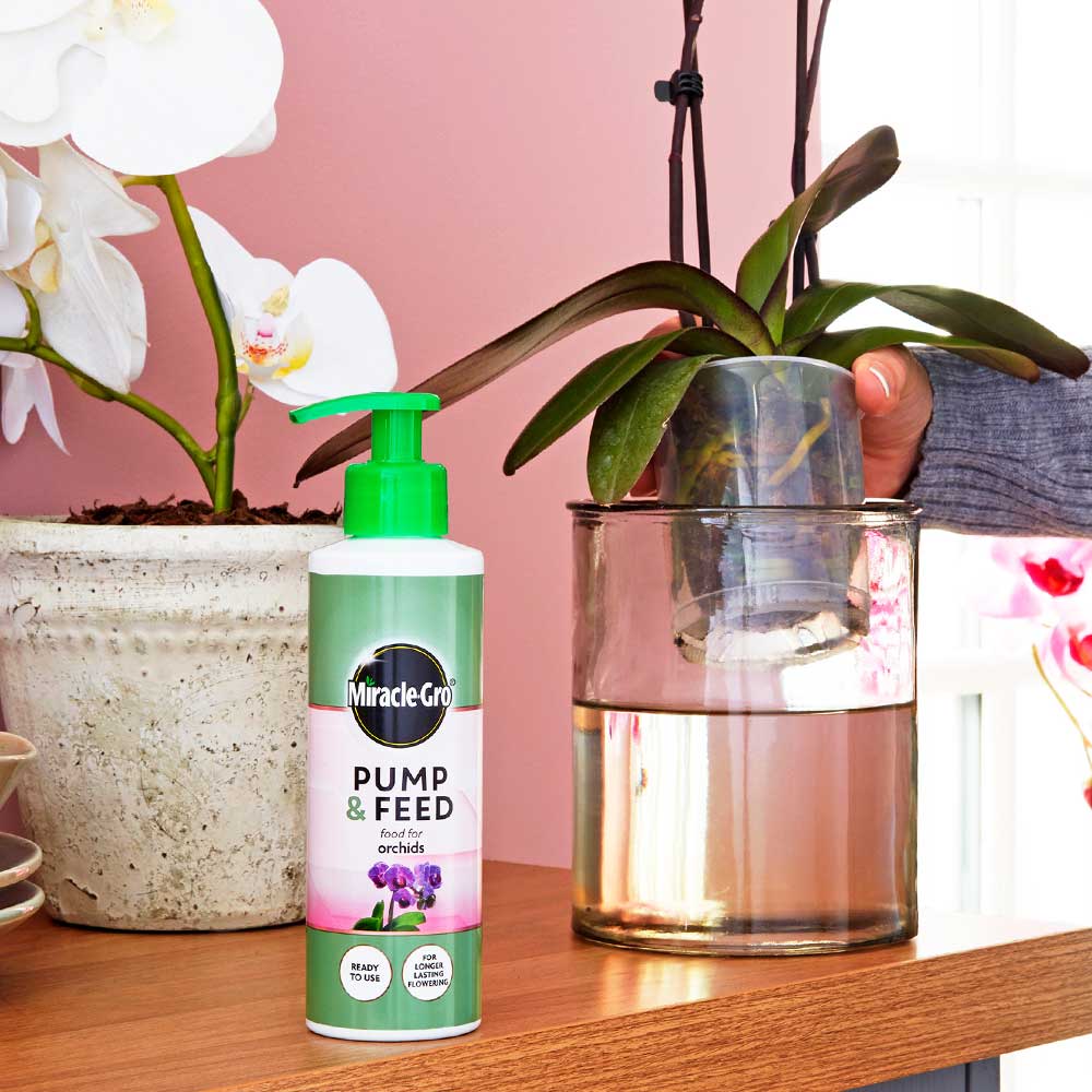 Miracle-Gro Pump & Feed Orchid 200ml