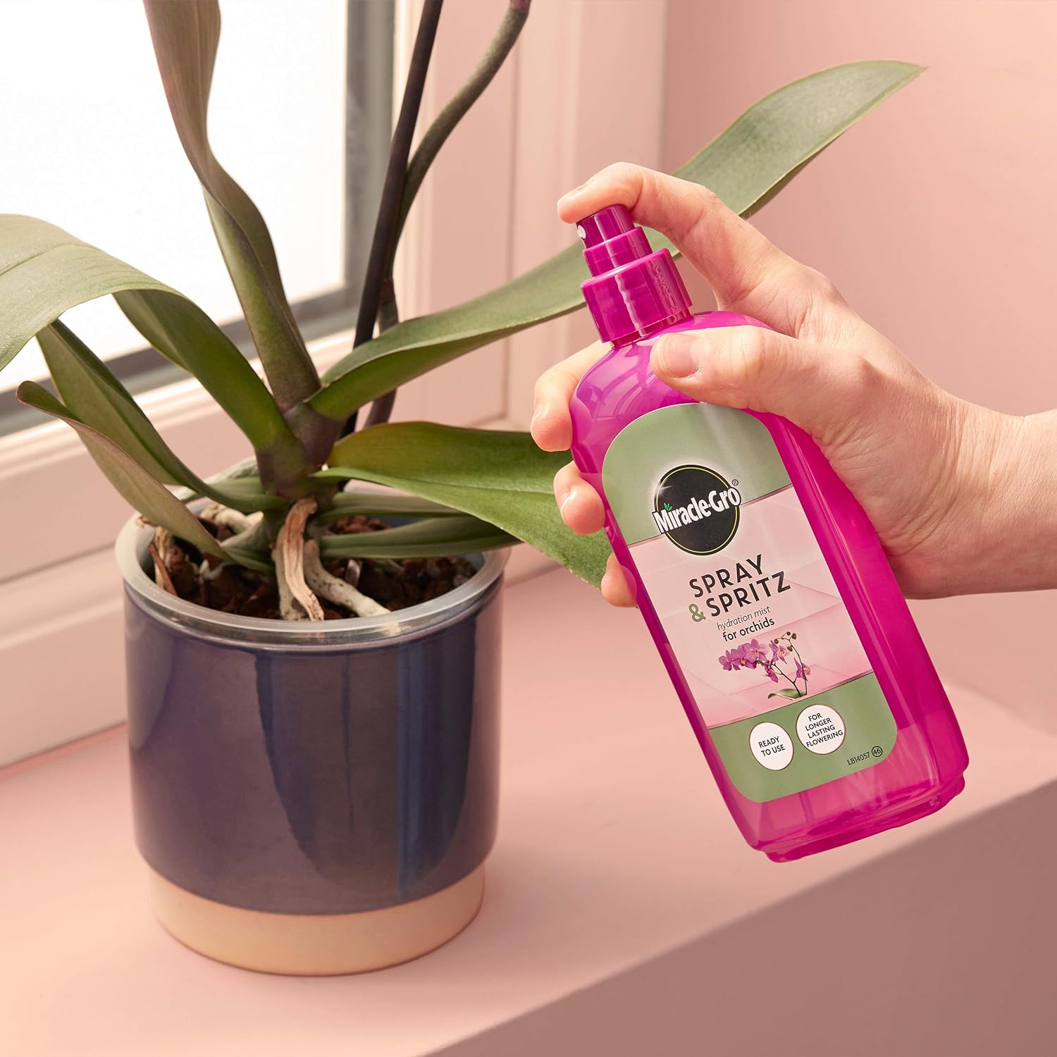 Miracle-Gro Spray & Spritz Orchid - 300ml