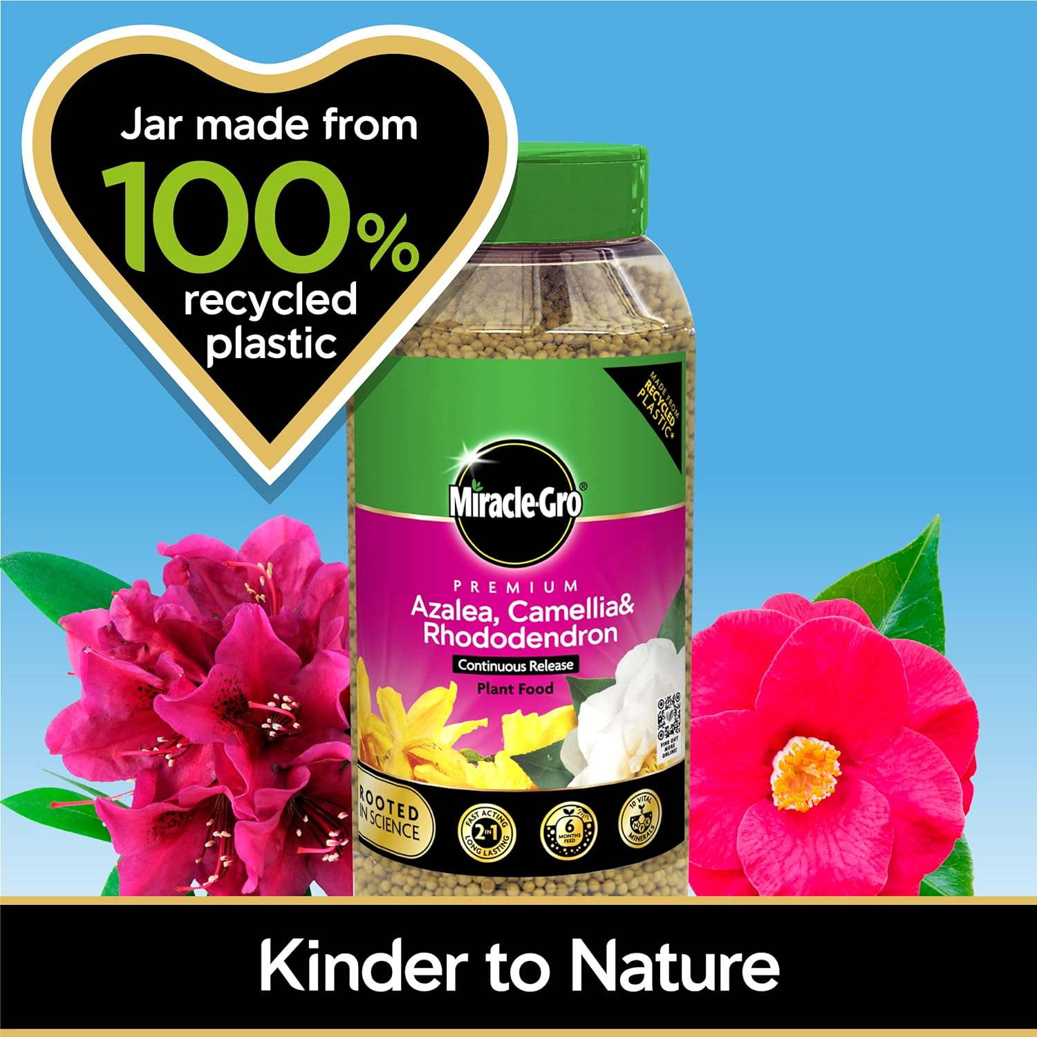Miracle-Gro Azalea, Camellia, Rhododendron Continuous Release Plant Food 900g
